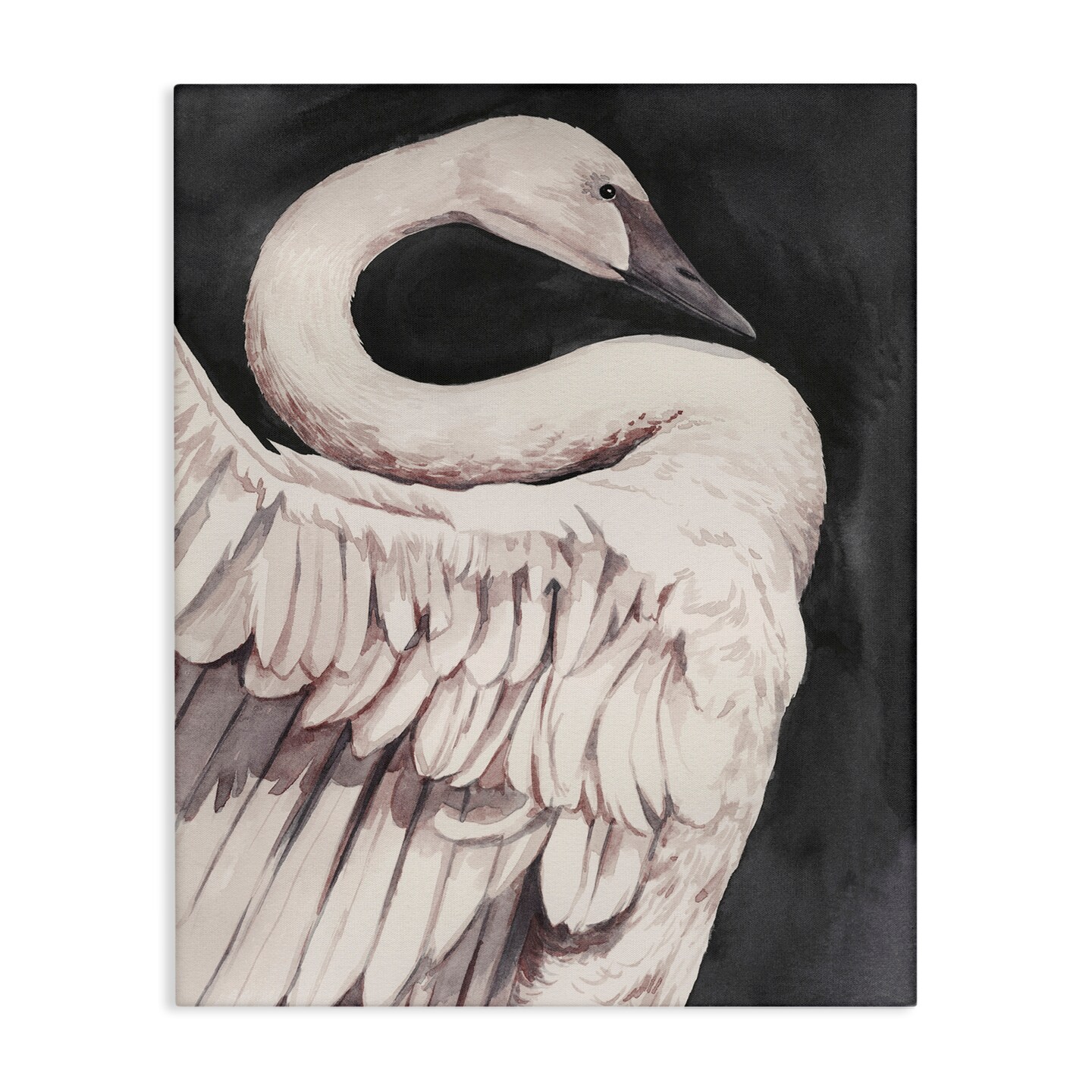 Stupell Industries Swan Portrait on Grey Canvas Wall Art Design by Grace Popp