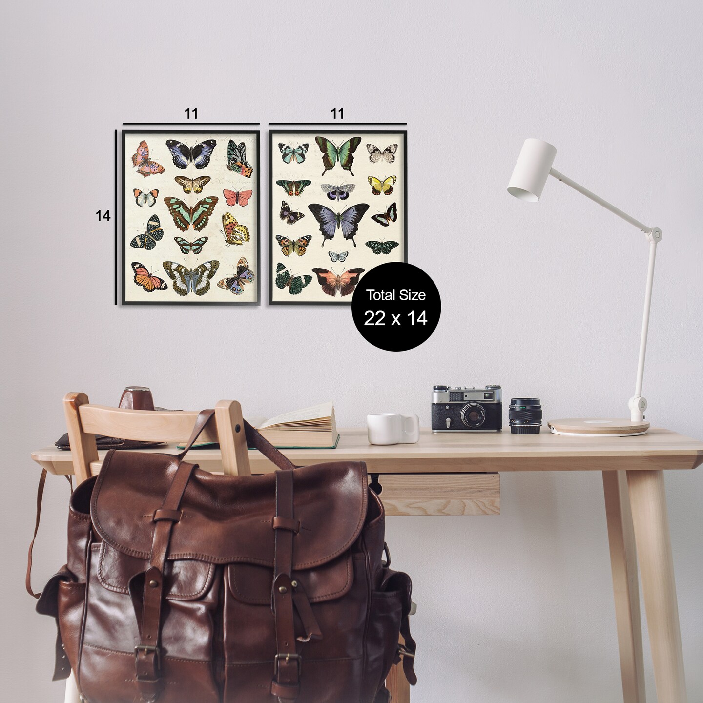 Stupell Industries Antique Butterfly Collection 2pc Framed Giclee Wall Art Set Design by Susan Arnot