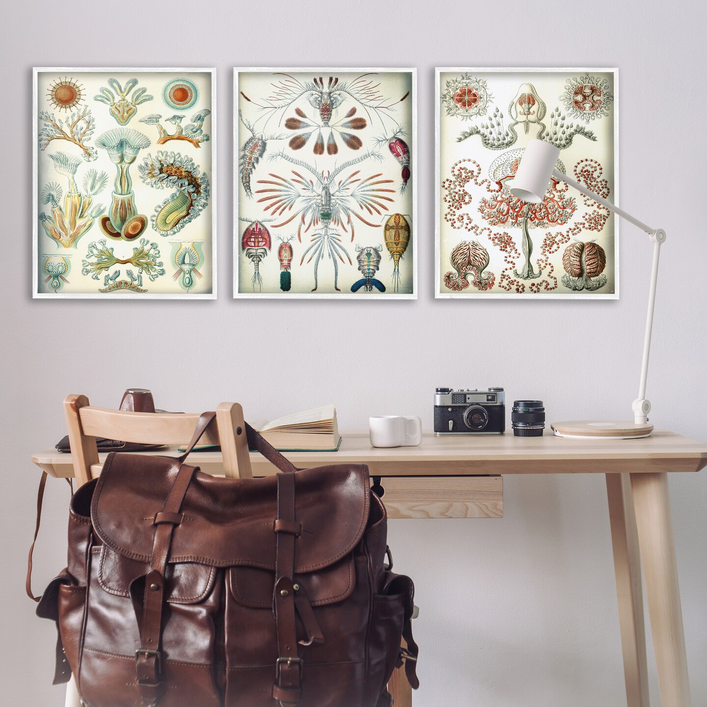 Stupell Industries Vintage Microscopic Crustaceans 3pc Framed Giclee Wall Art Set Design by Graffi*tee Studios