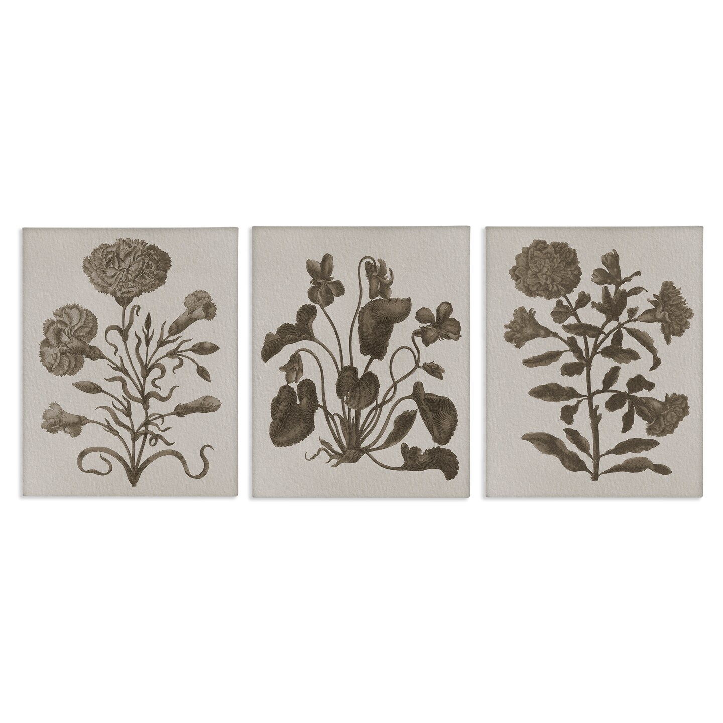 Stupell Industries Vintage Country Botanicals 3pc Canvas Wall Art Set Design by Lil' Rue
