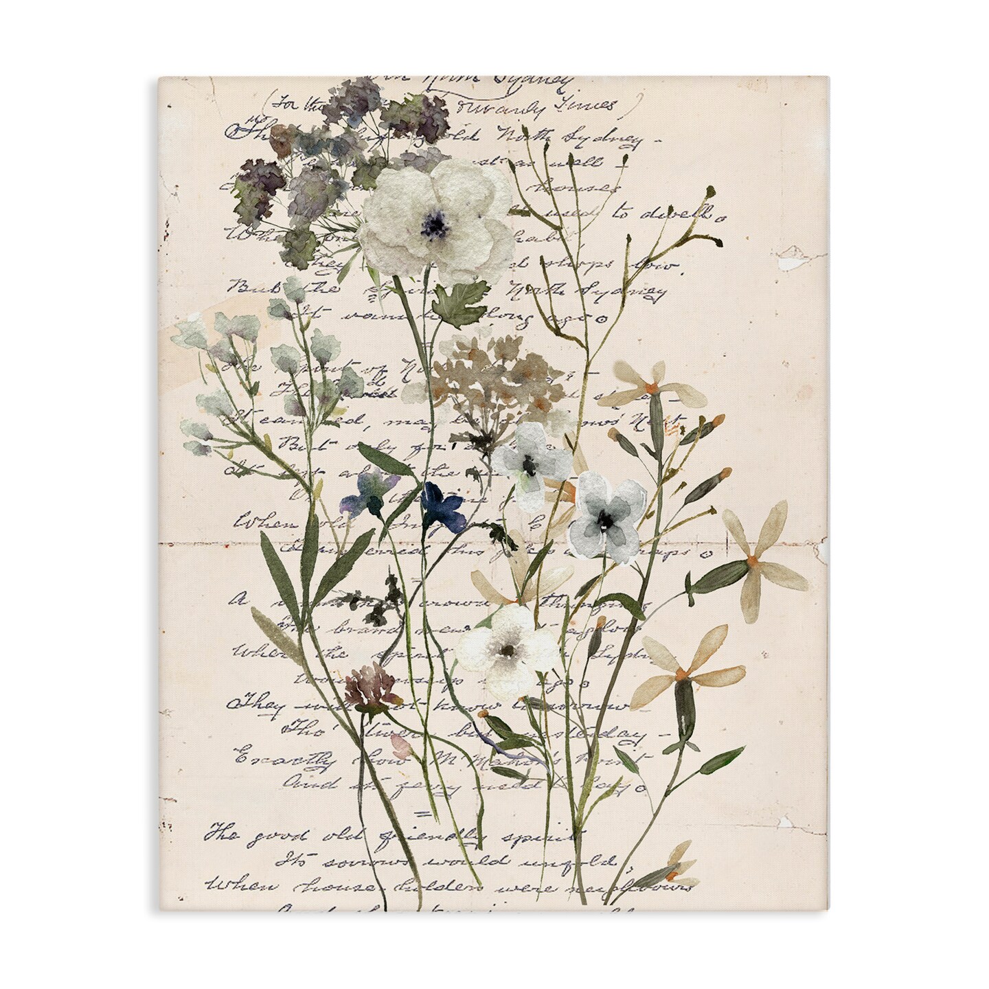 Stupell Industries Vintage Pressed Flowers Canvas Wall Art Design by Carol Robinson