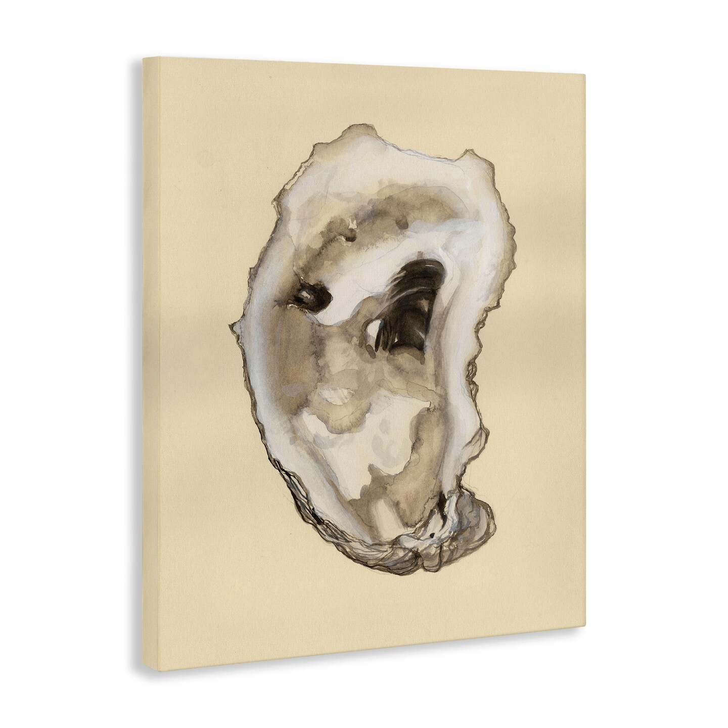Stupell Industries Natural Oyster Shell Canvas Wall Art Design by Michael Willett