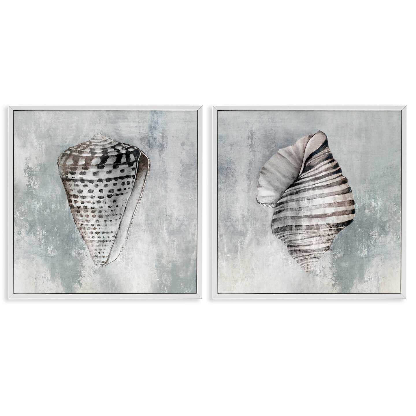 Stupell Industries Grey Distressed Cowrie Shells 2pc Framed Giclee Wall Art Set Design by Eli Jones