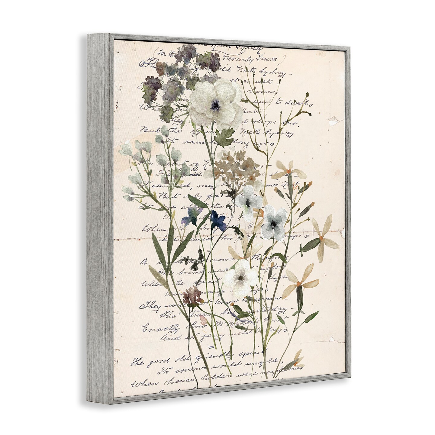 Stupell Industries Vintage Pressed Flowers Framed Giclee Wall Art Design by Carol Robinson
