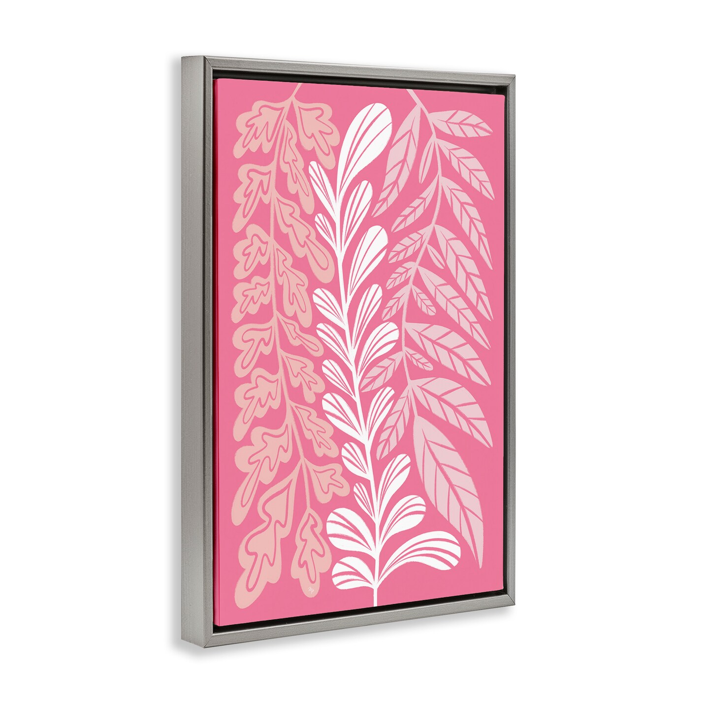 Stupell Industries Peach Pink Long Plants Floater Framed Canvas Wall Art Design by Martina Pavlova