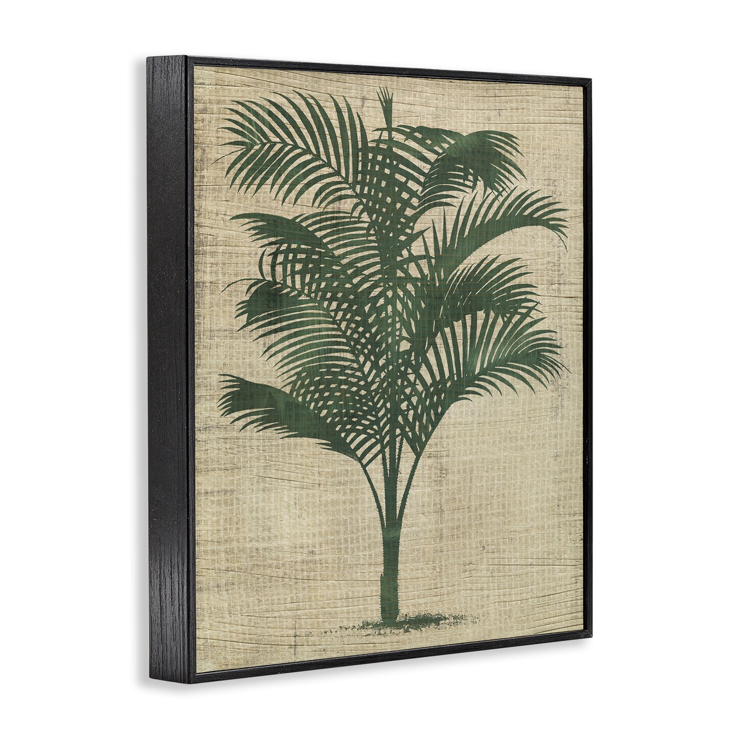 Stupell Industries Vintage Palm Plant Framed Giclee Wall Art Design by June Erica Vess