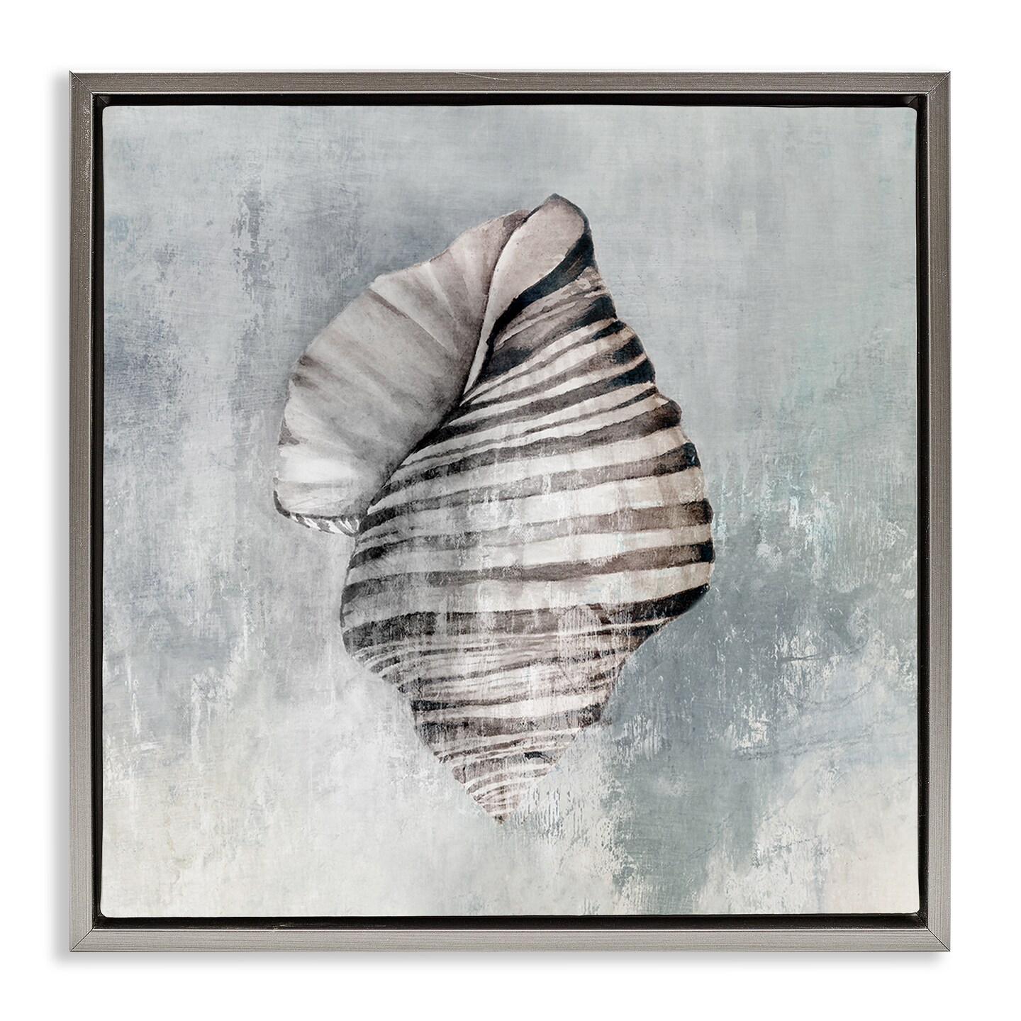 Stupell Industries Organic Twisted Seashell Floater Framed Canvas Wall Art Design by Eli Jones