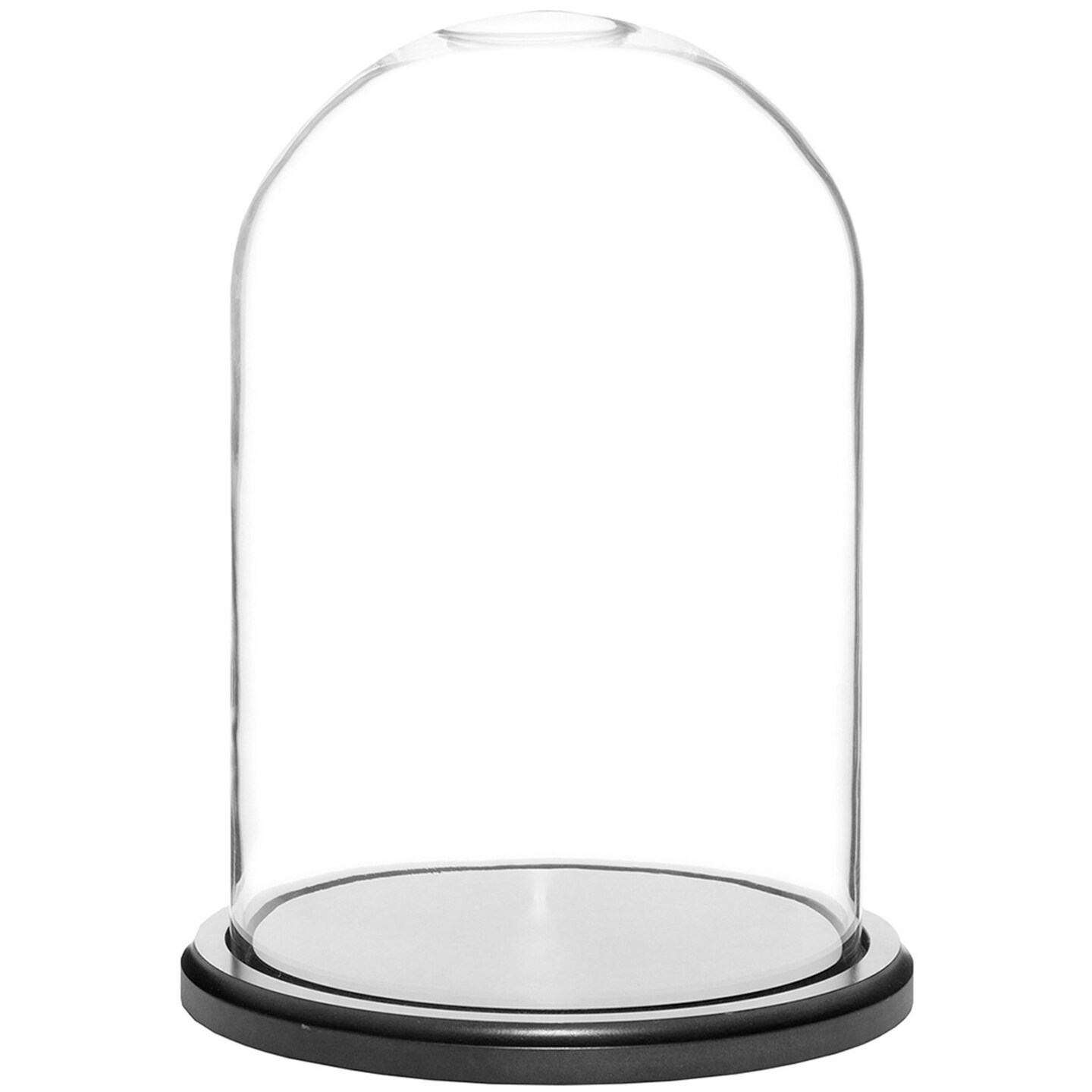 Plymor 8&#x22; x 12&#x22; Glass Display Dome Cloche