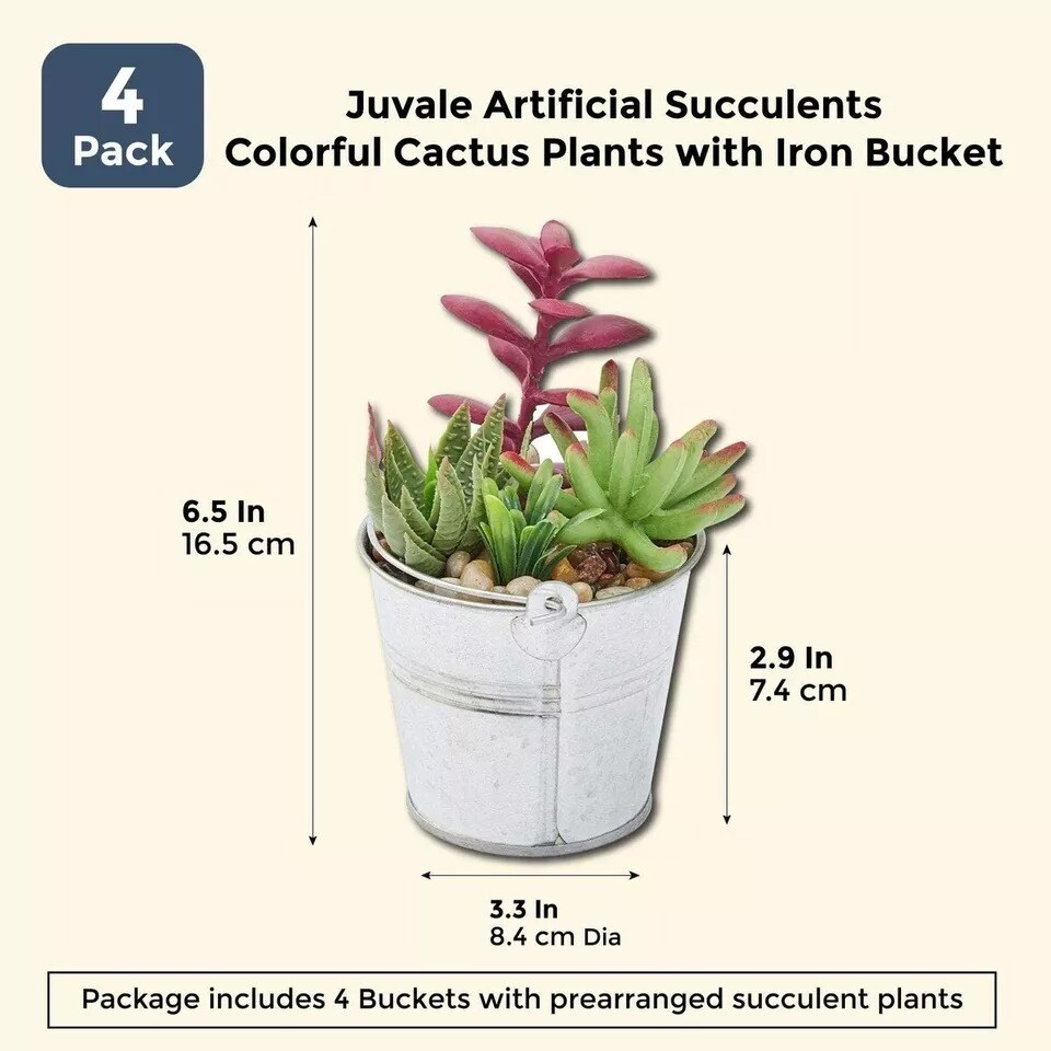 4x Artificial Succulents, Colorful Cactus Plants with Iron Bucket, 6.5 inch