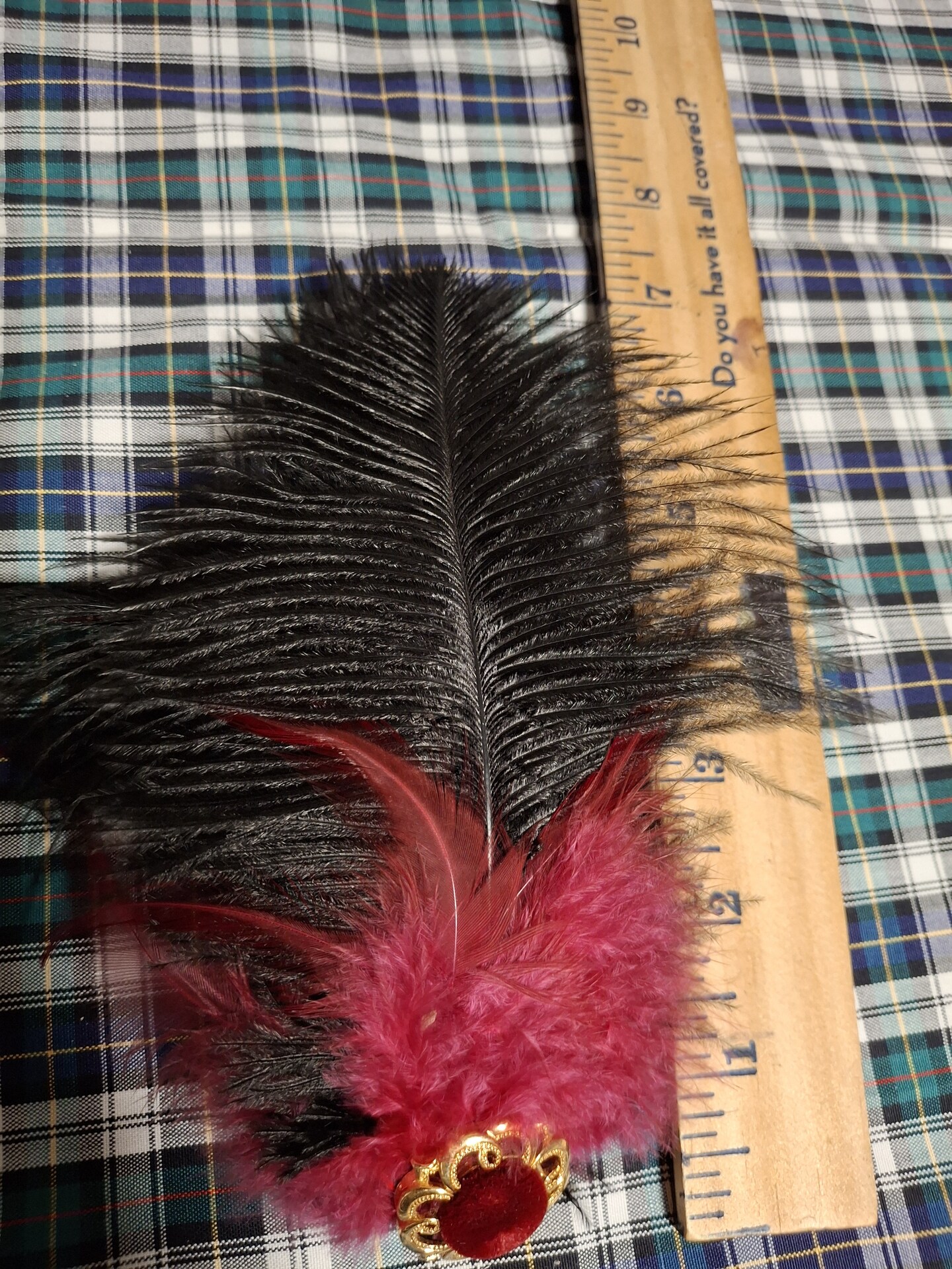 2024 Multifunctional featherclip /hairclip, handmade. Chilli Arend (BlackChested Eagle Buzzard). Zuni Turqois and Blood Coral