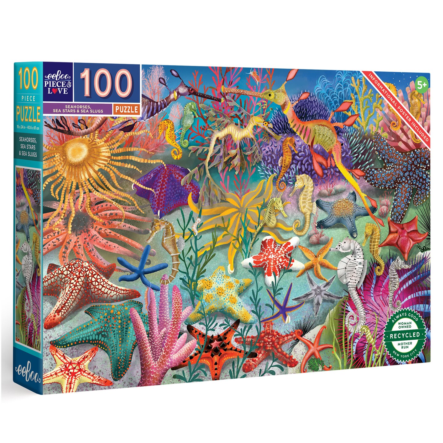 eeBoo: Seahorses, Sea Stars & Sea Slugs - 100 Piece Puzzle - 27 x 18" Ocean Creatures Jigsaw, Sturdy Pieces, Informational Poster, Kids Ages 5+