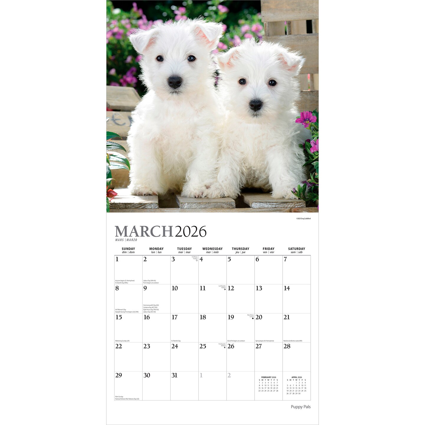 Puppy Pals | 2026 12 x 24 Inch (Hanging) Monthly Square Wall Calendar | Foil Stamped Cover