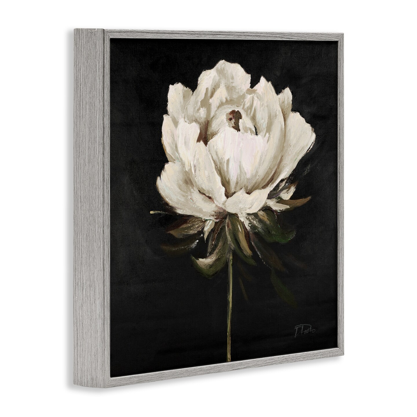 Stupell Industries Pretty Delicate Bloom on Black Framed Giclee, design by Patricia Pinto