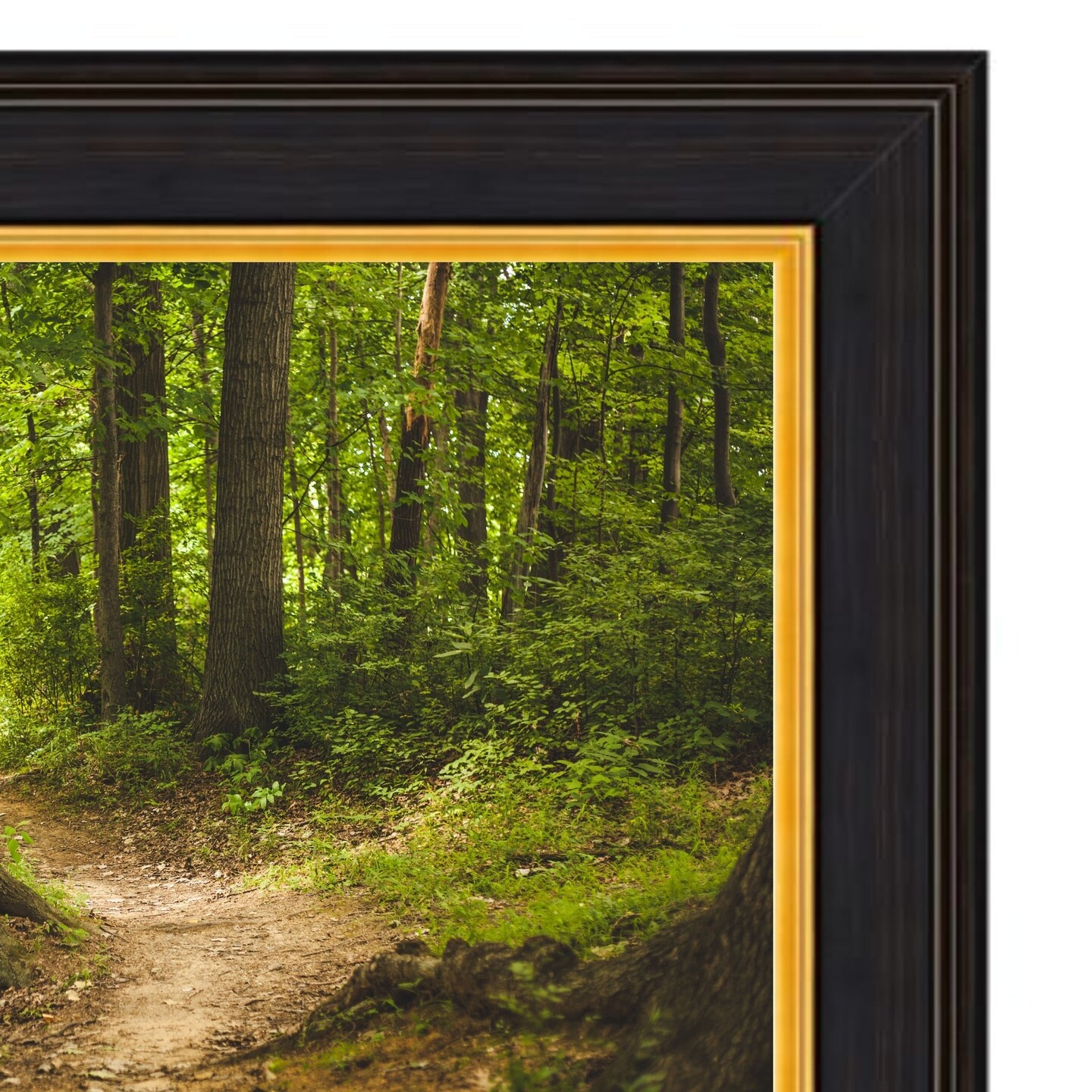 32 Inch TV Picture Frame - Decorative Custom frame for 32 inch TV Samsung