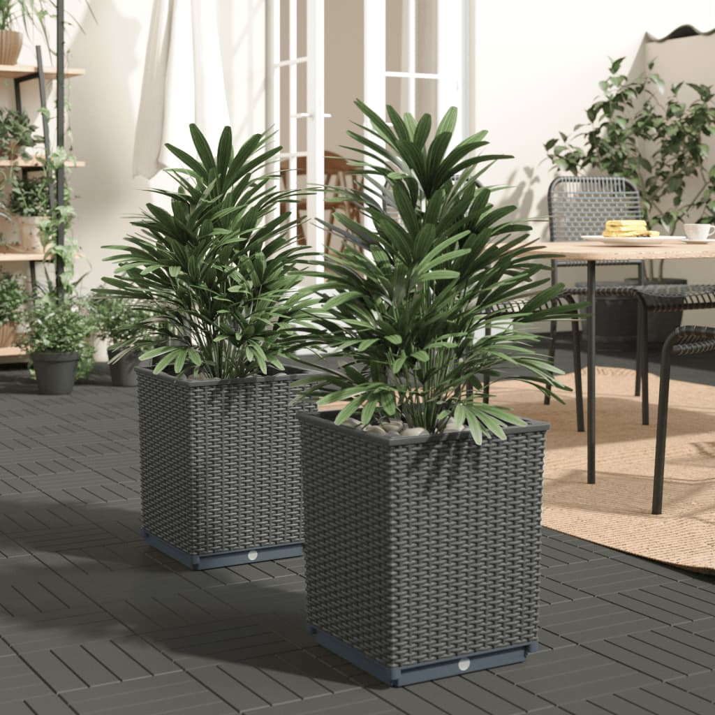 vidaXL Planters 2 pcs Black 11.8&#x22;x11.8&#x22;x14.6&#x22; Polypropylene