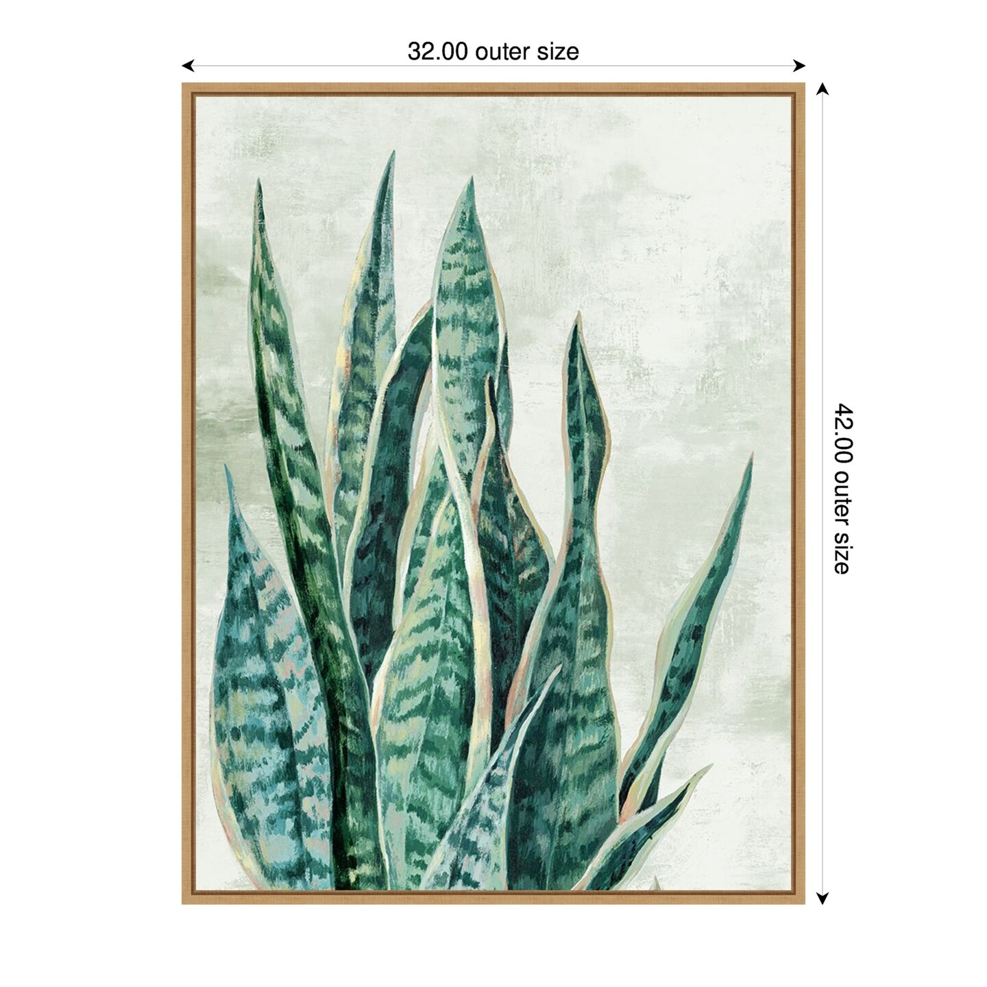 Reaching Snake Plant by PI Studio Framed Canvas Wall Art