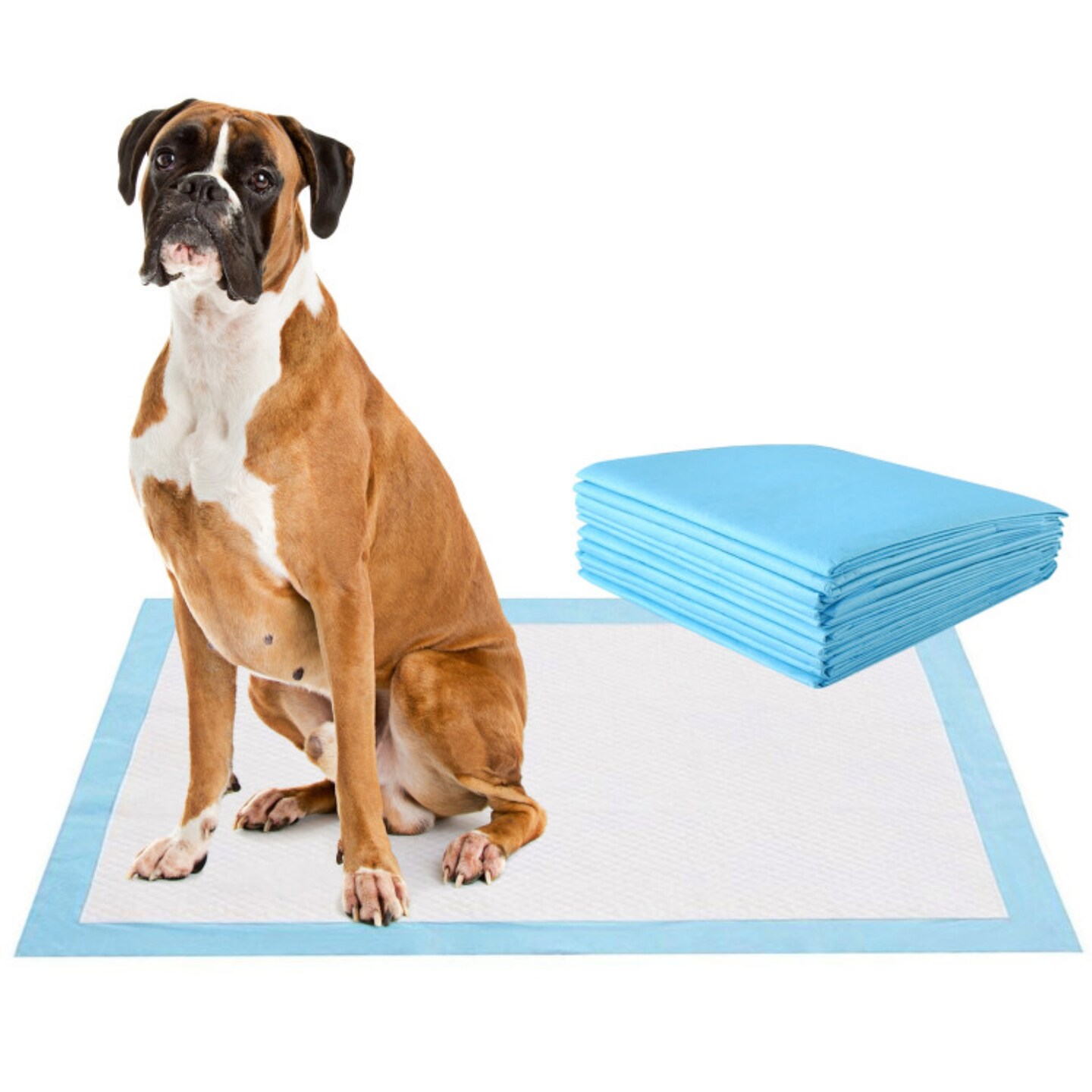 Sky Blue 100 Pieces 36-inch Pet Wee Pee Piddle Pad Ideal for Indoor Use