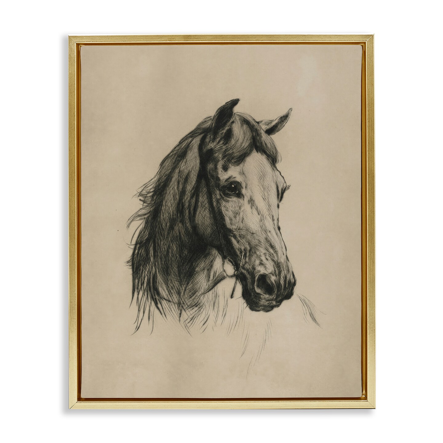 Stupell Industries Charcoal Horse Portrait Floating Frame By Arlington Prints