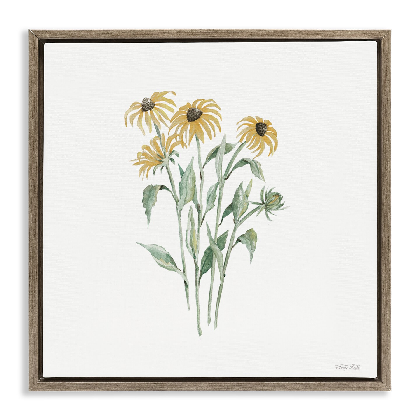 Stupell Industries Black-Eyed Susan Botanical Floating Frame, design by Cindy Jacobs