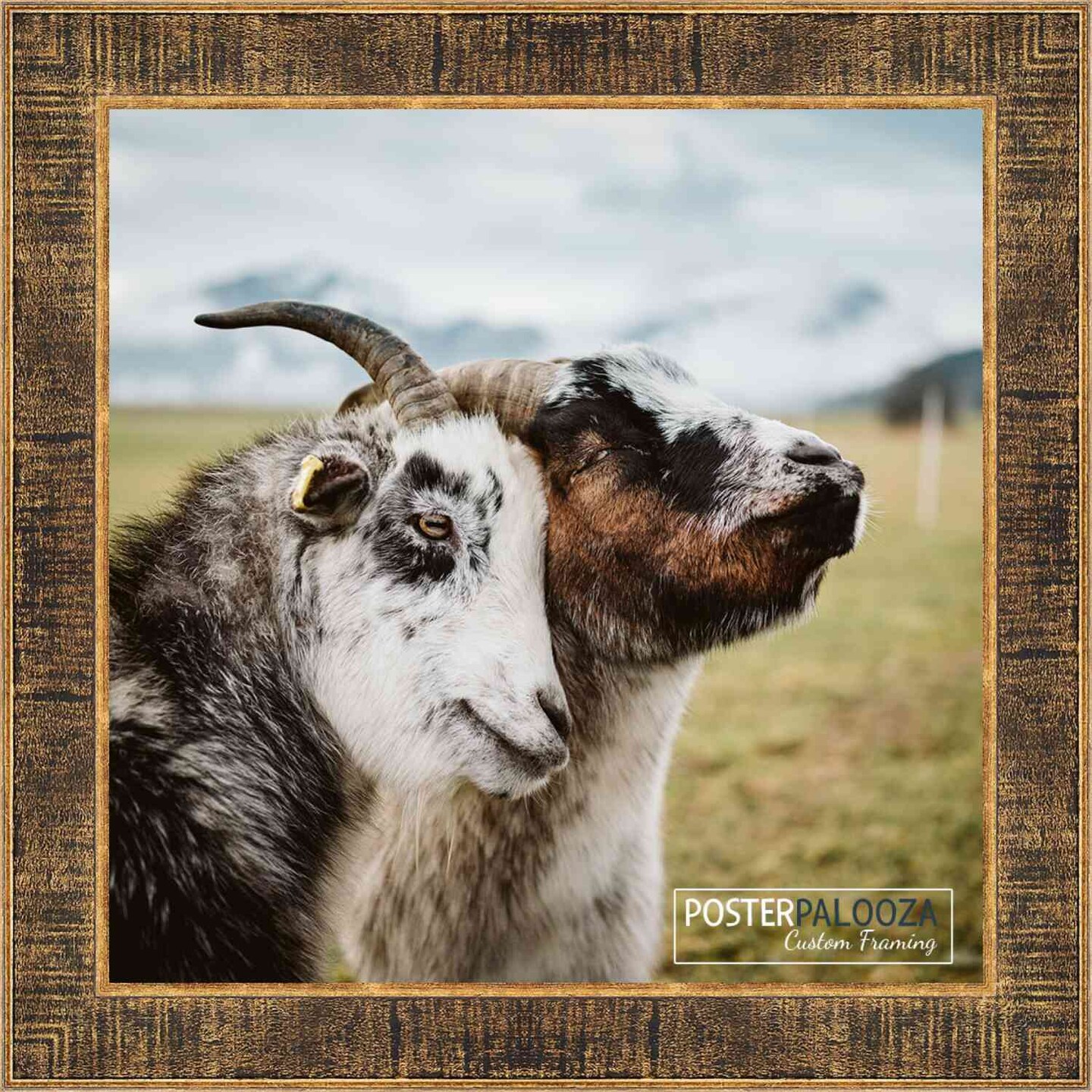 Square Sculpted Black Picture Frame - UV Acrylic, Foam Board Backing, Hanging Hardware