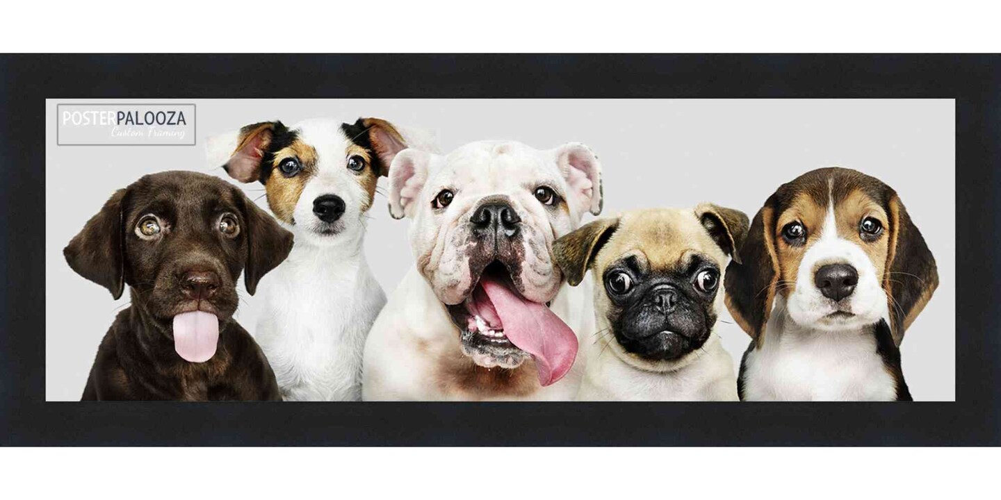 Panoramic Minimalist Black Picture Frame - UV Acrylic, Foam Board Backing, Hanging Hardware