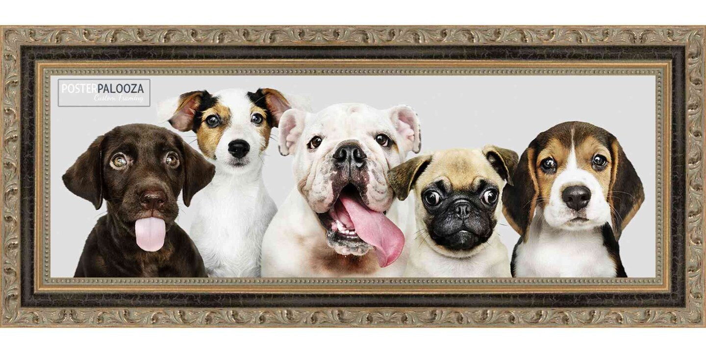 Panoramic Classic Gold Picture Frame - UV Acrylic, Foam Board Backing, Hanging Hardware