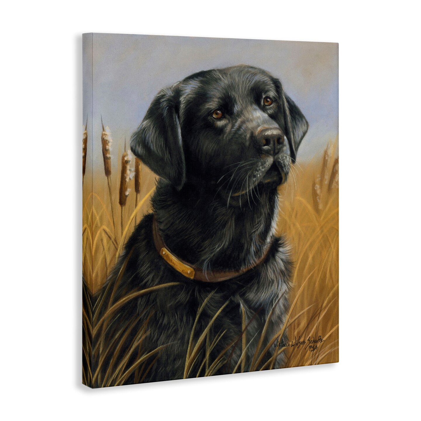Stupell Industries Black Lab in Nature Canvas Wall Art Design by Victoria Schultz