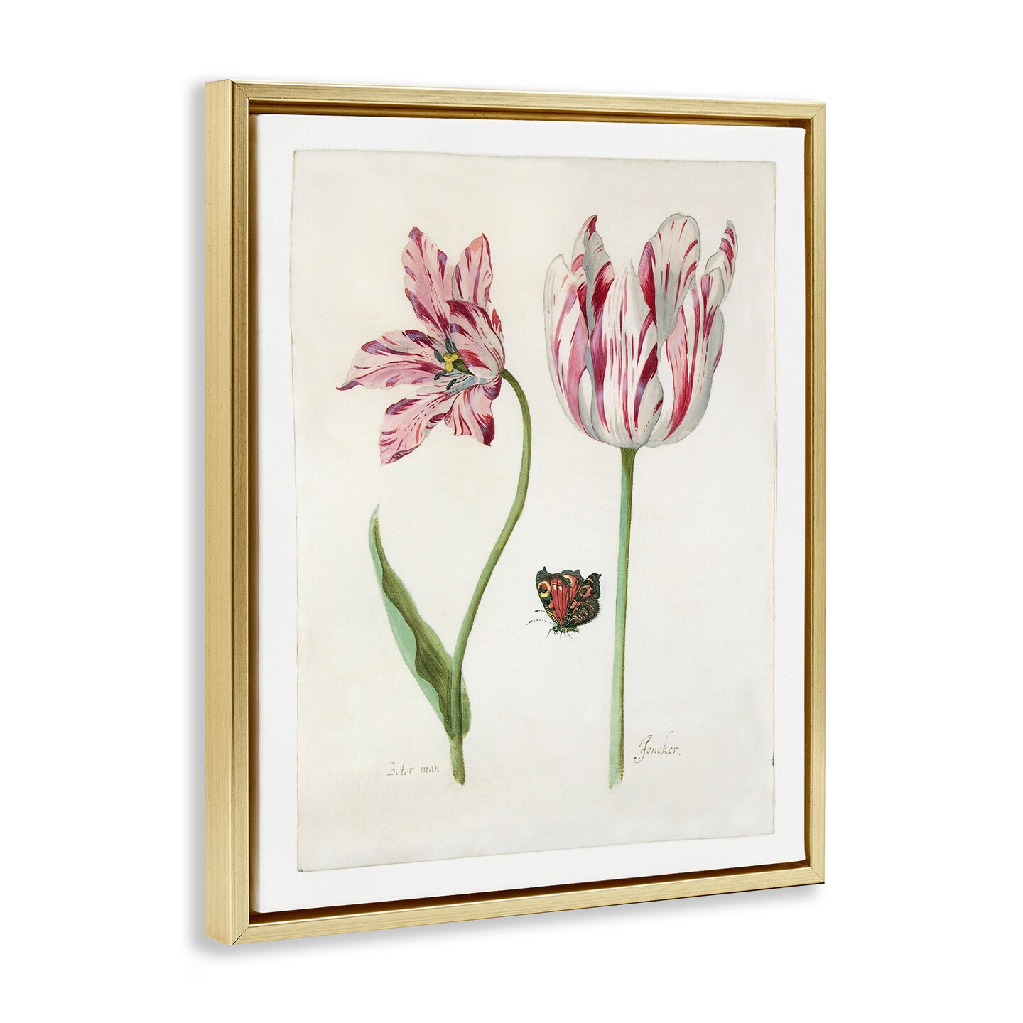 Stupell Industries Classic Tulip & Butterfly Framed Floater Canvas Wall Art Design by Jacob Marrel