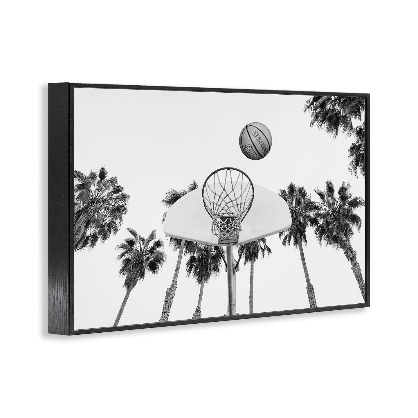 Stupell Industries Basketball Hoop with Palms Framed Giclee Wall Art Design by Sisi and Seb