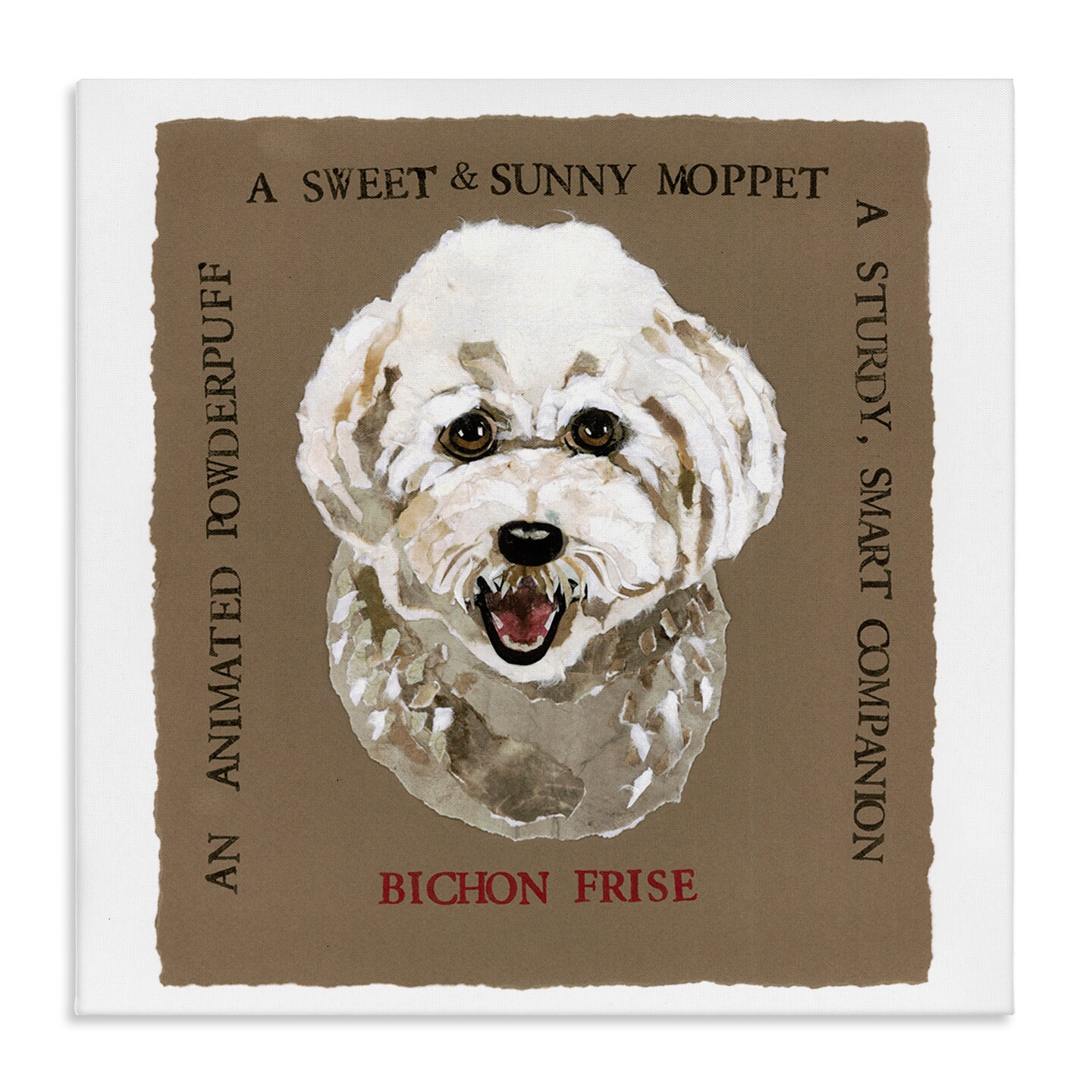 Stupell Industries Fun Bichon Frise Phrases Canvas Wall Art Design by Nancy Overton