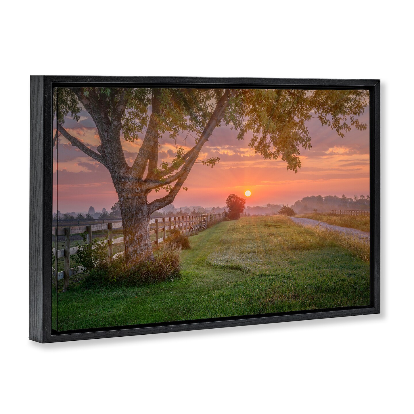 Stupell Industries Bold Sunrise in Countryside Framed Floater Canvas Wall Art Design by Marty Hulsebos