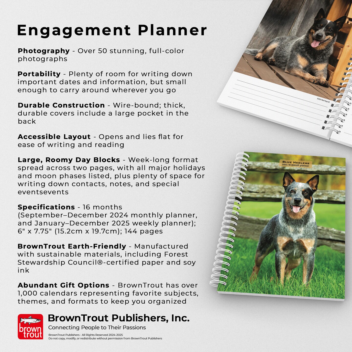 Blue Heelers | 2025 6 x 7.75 Inch Spiral-Bound Wire-O Weekly Engagement Planner Calendar | New Full-Color Image Every Week | BrownTrout | Animals Dog Breeds Pets