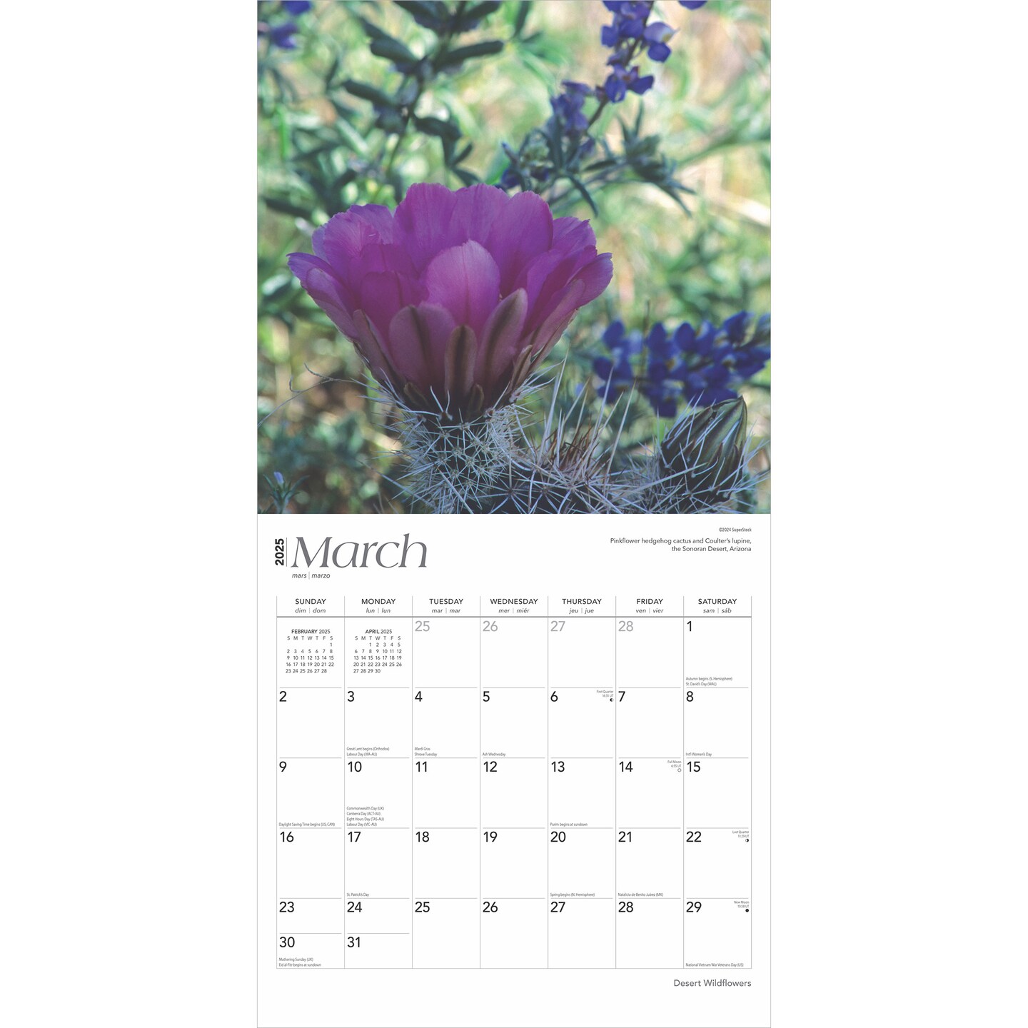 Desert Wildflowers | 2025 12 x 24 Inch Monthly Square Wall Calendar | Plastic-Free | BrownTrout | Floral Outdoor Plant Nature