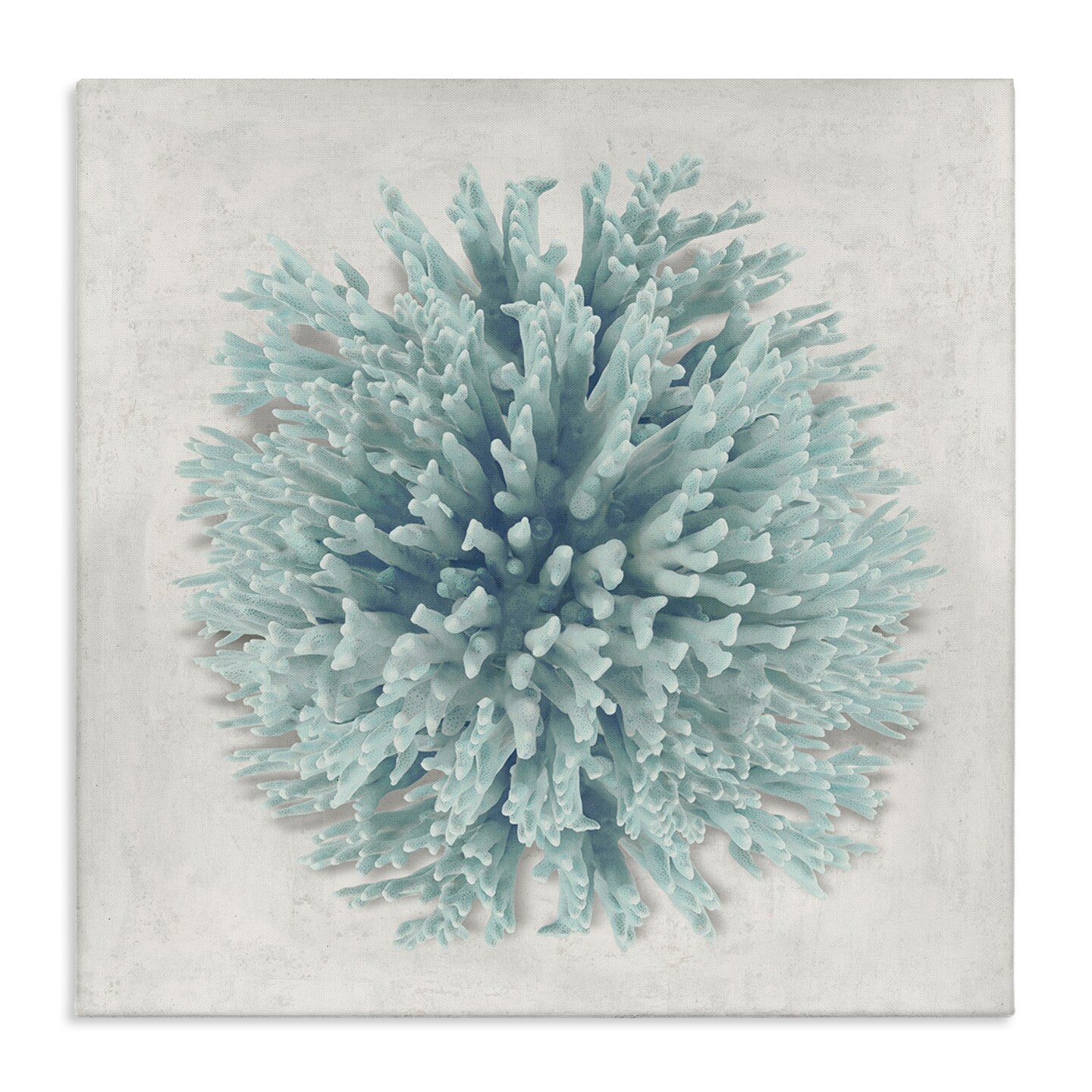 Stupell Industries Coral Ball Blue Sea Beach Design Canvas Wall Art
