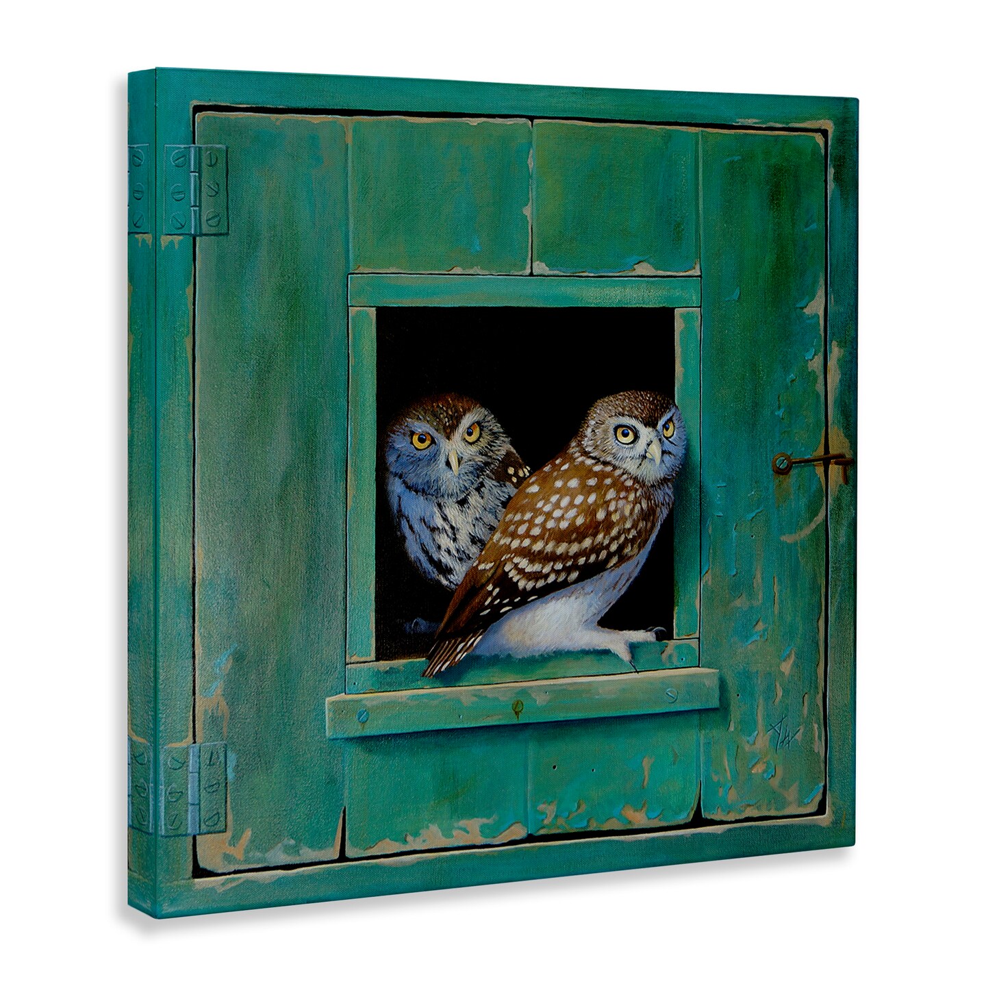 Stupell Industries Spotted Owls Perched Ledge Canvas Wall Art