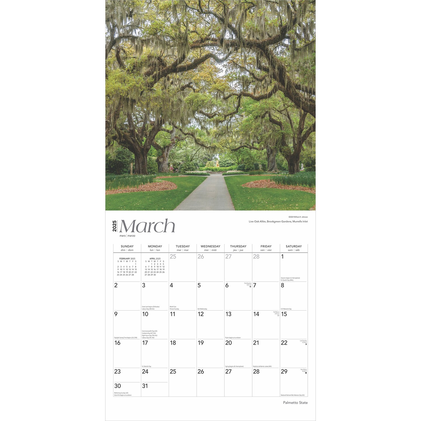 Palmetto State | South Carolina Places | 2025 12 x 24 Inch Monthly Square Wall Calendar | Plastic-Free | BrownTrout | USA United States of America Southeast State Nature