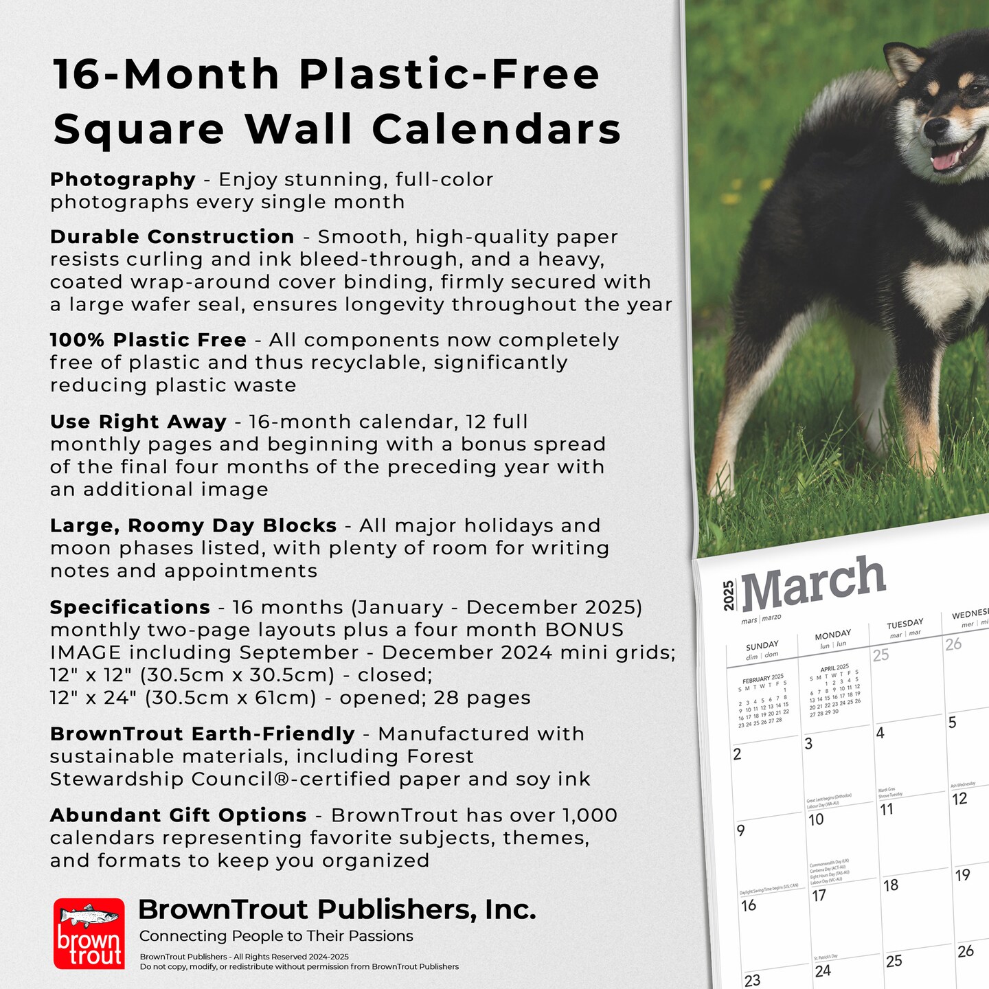 Shiba Inu | 2025 12 x 24 Inch Monthly Square Wall Calendar | Plastic-Free | BrownTrout | Animals Asian Dog Breeds