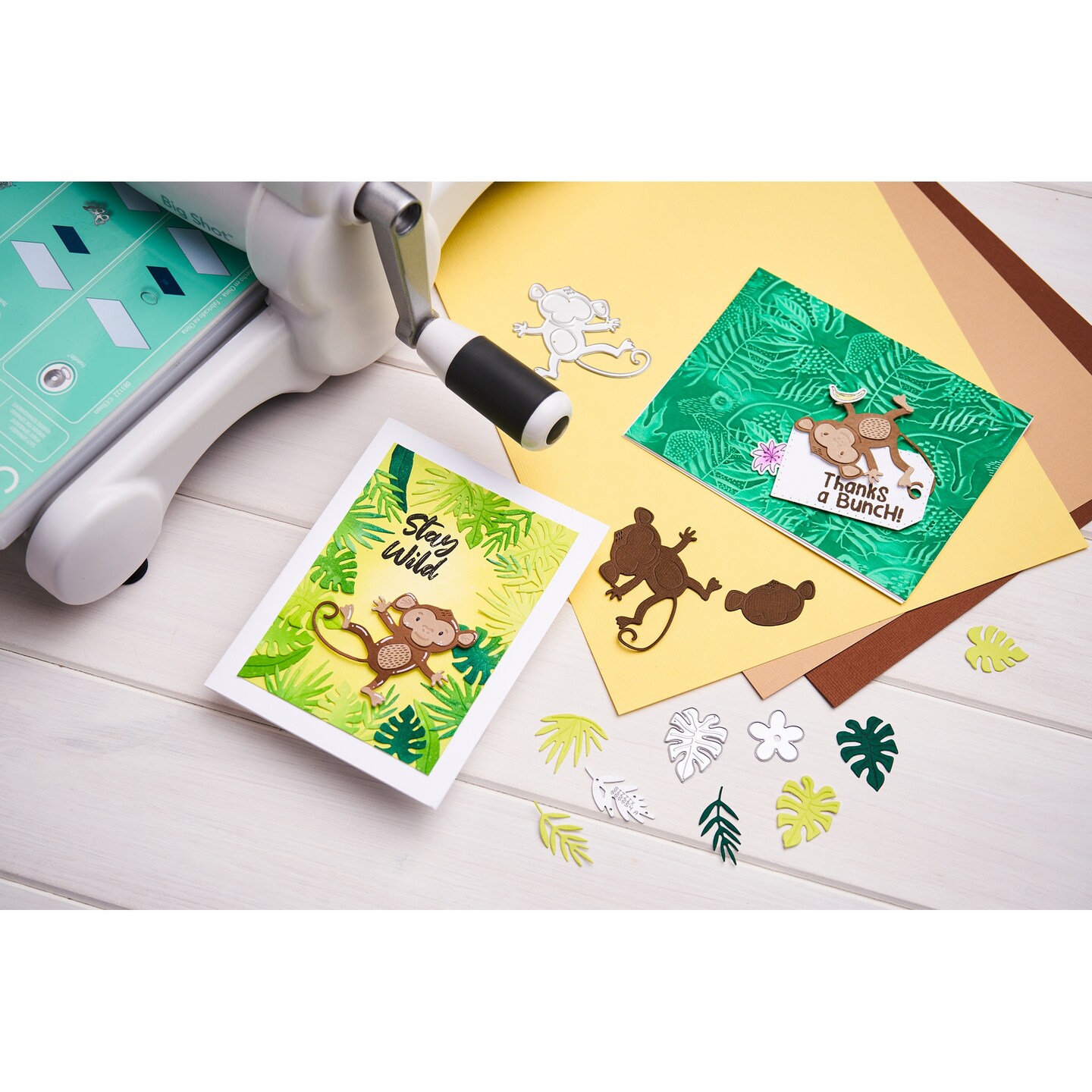 Catherine Pooler Bundle 1-Going Wild for Bananas Die & Stamp Set