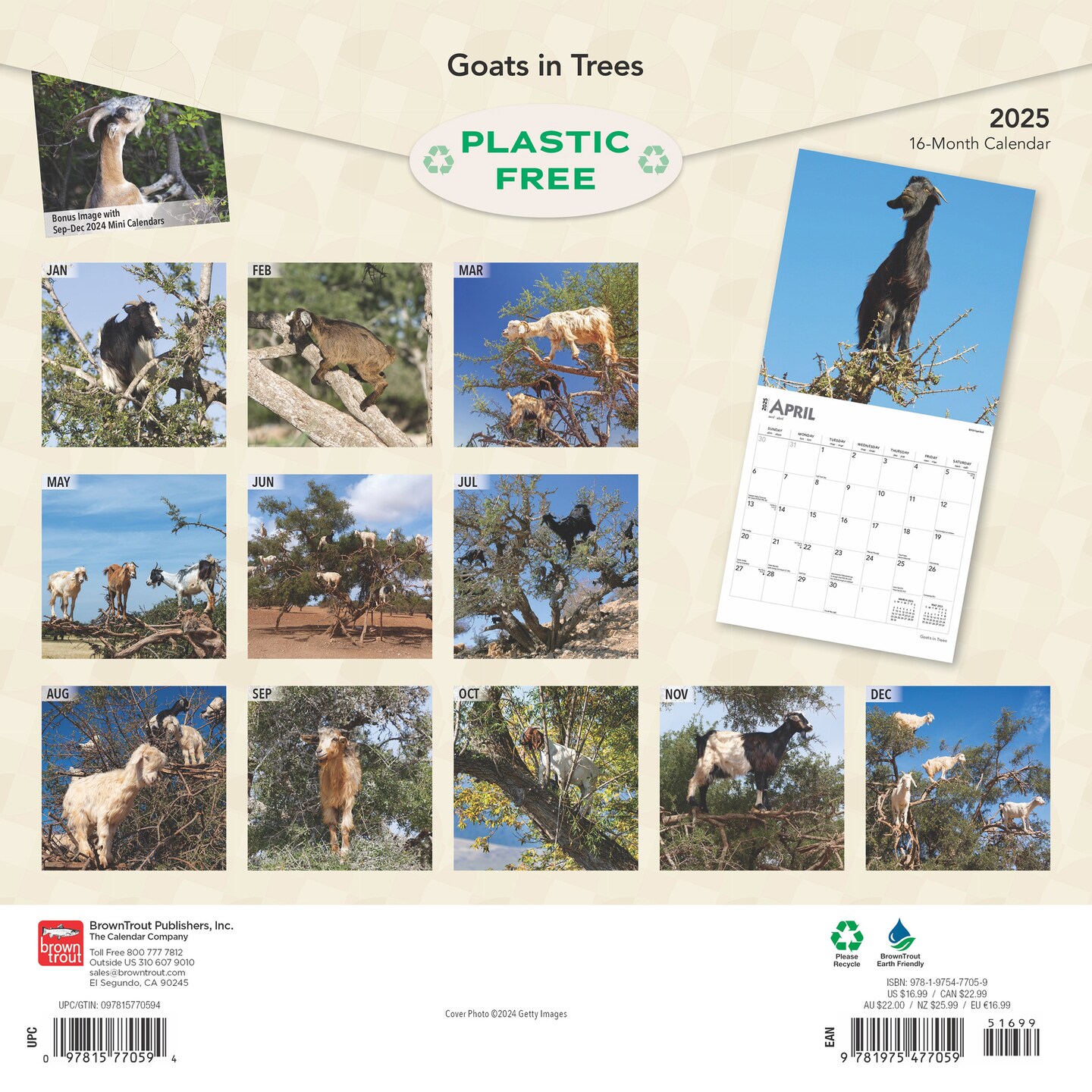 Goats in Trees | 2025 12 x 24 Inch Monthly Square Wall Calendar | Plastic-Free | BrownTrout | Domestic Funny Farm Animals