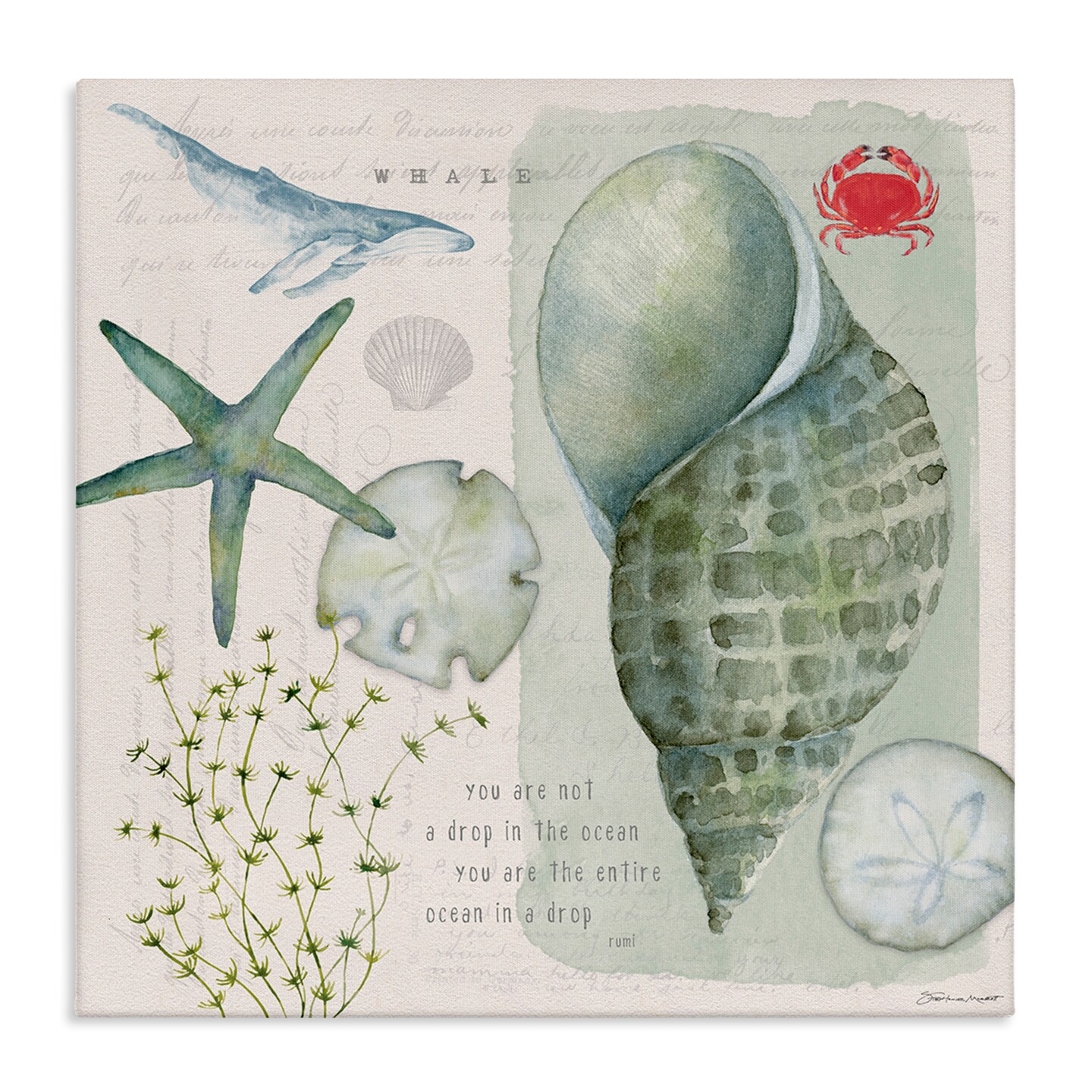 Stupell Industries Sea Shell Inspirational Collage Canvas Wall Art