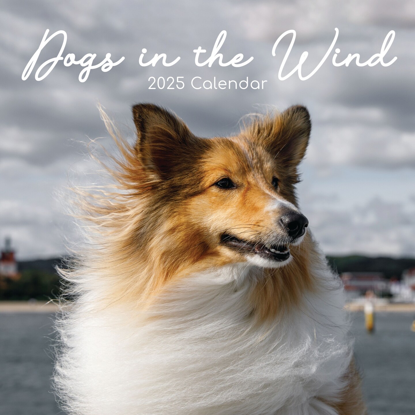 2025 Square Wall Calendar, Dogs in the Wind, 16-Month Humor Theme with 180 Reminder Stickers (12 x 12 In)
