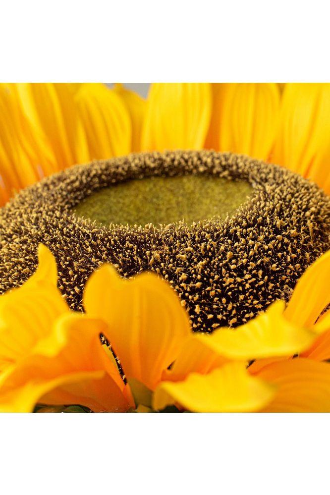7&#x22; Sunflower Head