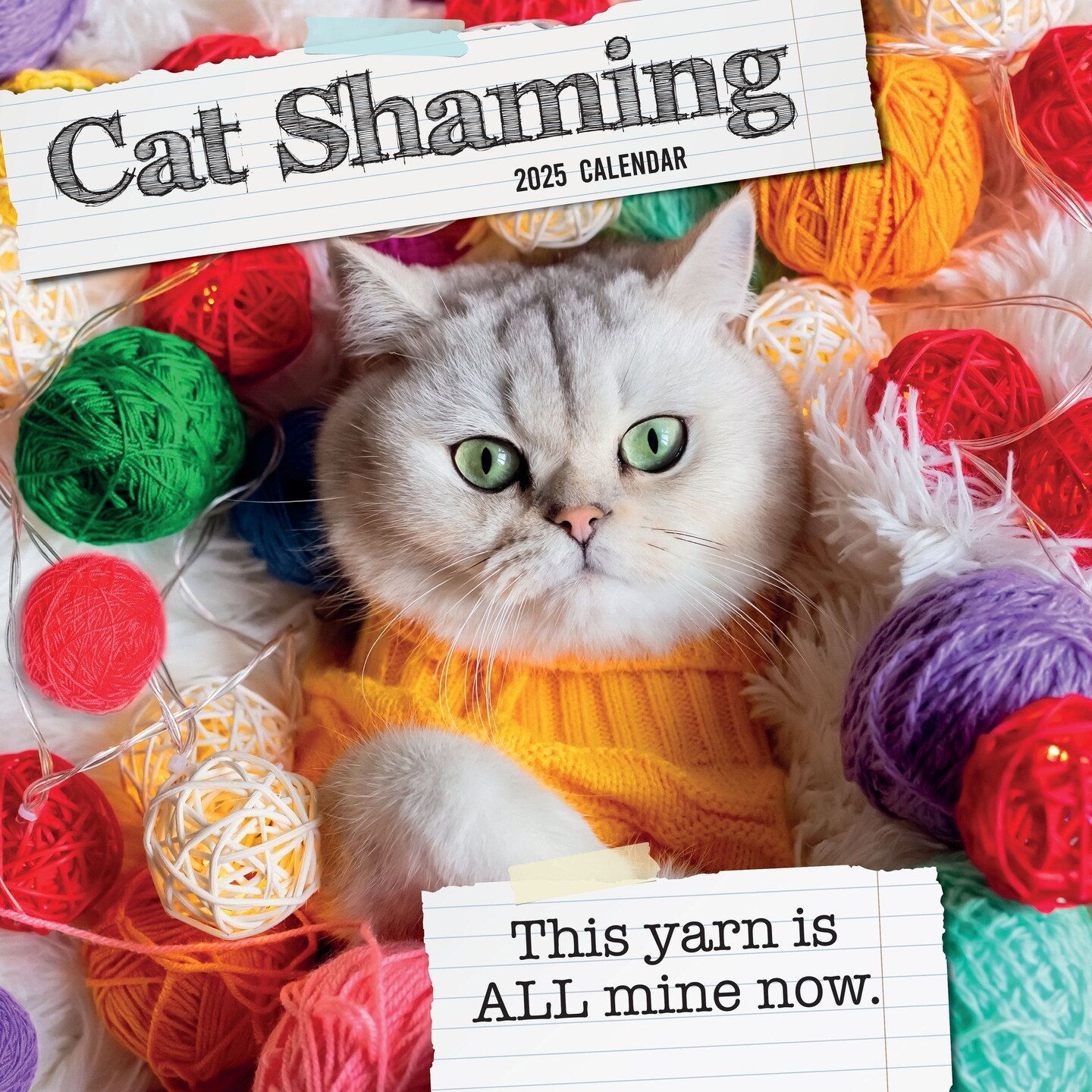 The Gifted Stationary 2025 Square Wall Calendar, Cat Shaming, 16-Month Humor Theme Hanging Calendar with 180 Reminder Stickers, Month Planner for Home, or Creative Spaces, 12x12 In