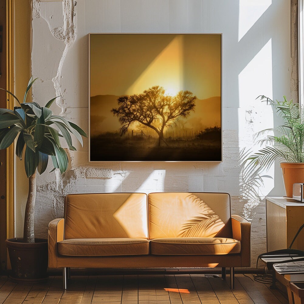 Golden Sunrise Square Canvas Art | Modern Home Wall Decor 24x24 Canvas - Corporate Office Art
