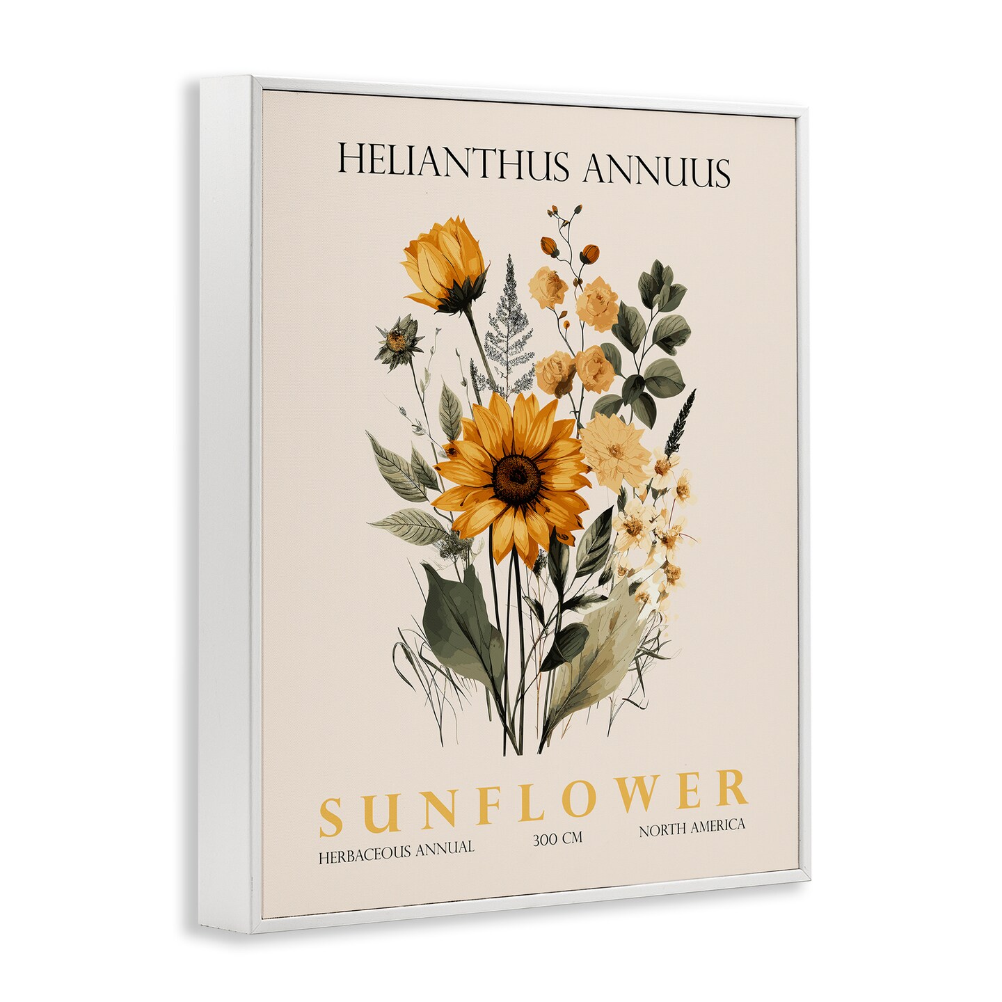 Stupell Industries Natural Sunflower Bundle Framed Giclee, design by Christopher Giampietro