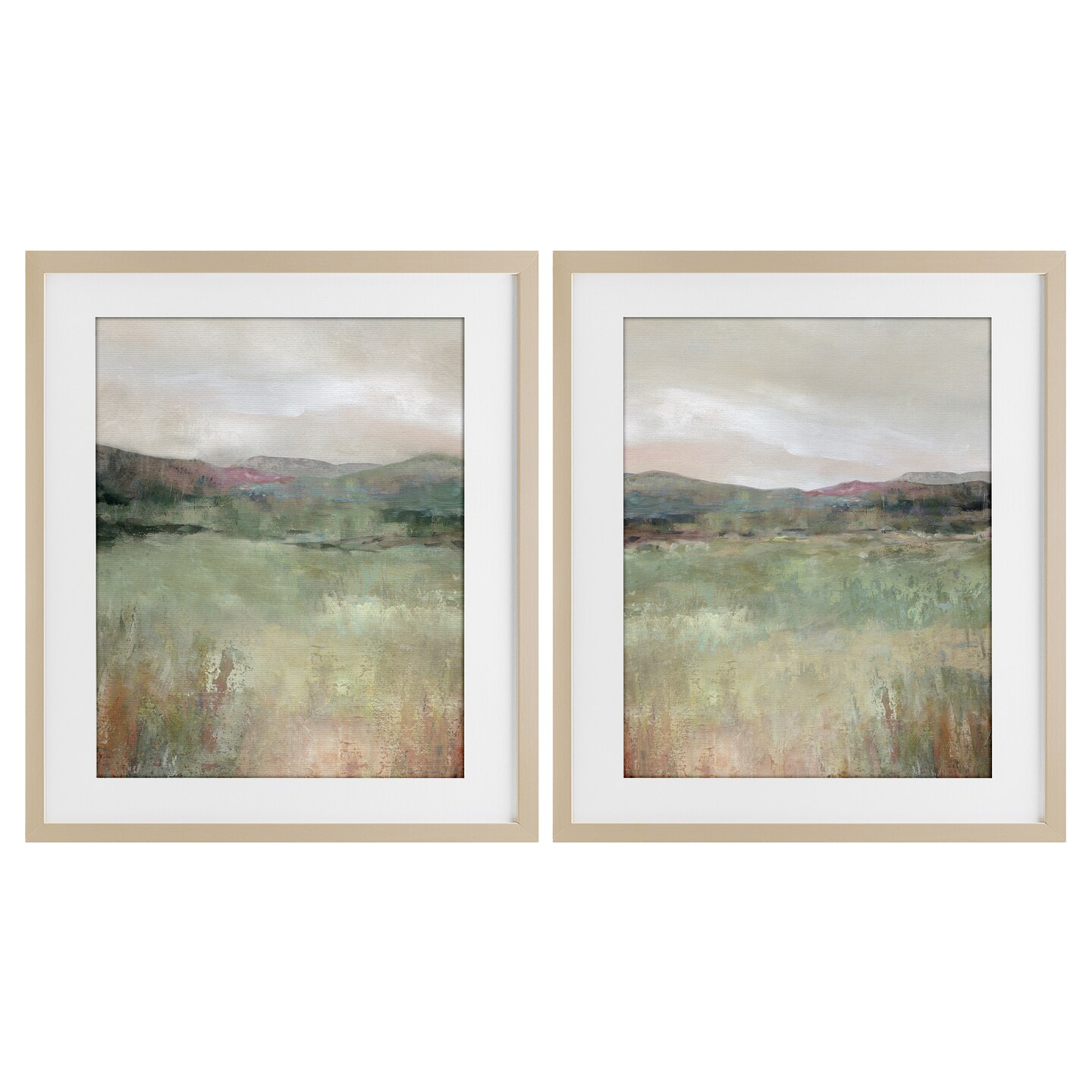 Stupell Industries Muted Glimpse of Spring 2pc Framed Print Under Glass Set, design by Carol Robinson