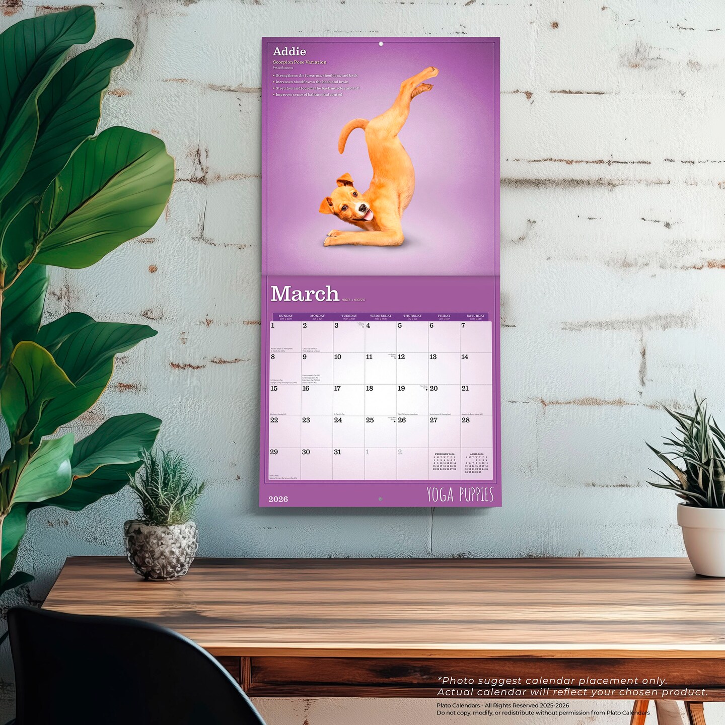 Yoga Puppies OFFICIAL | 2026 12 x 24 Inch (Hanging) Monthly Square Wall Calendar