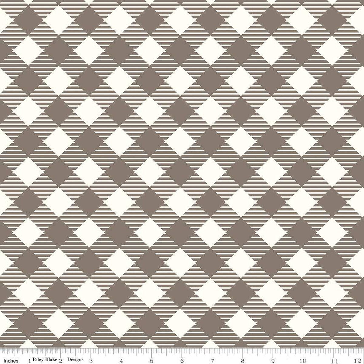 Fabric Riley Blake Pebble Bee Ginghams 108" Wide Back by the Quarter Yard WB12562­-PEBBLE