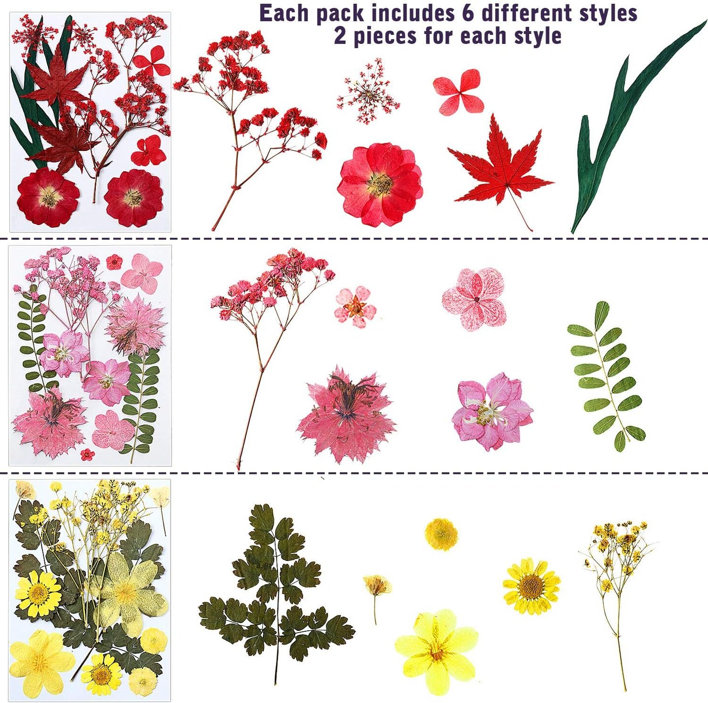 72 Pcs Dried Pressed Flowers for Resin Molds