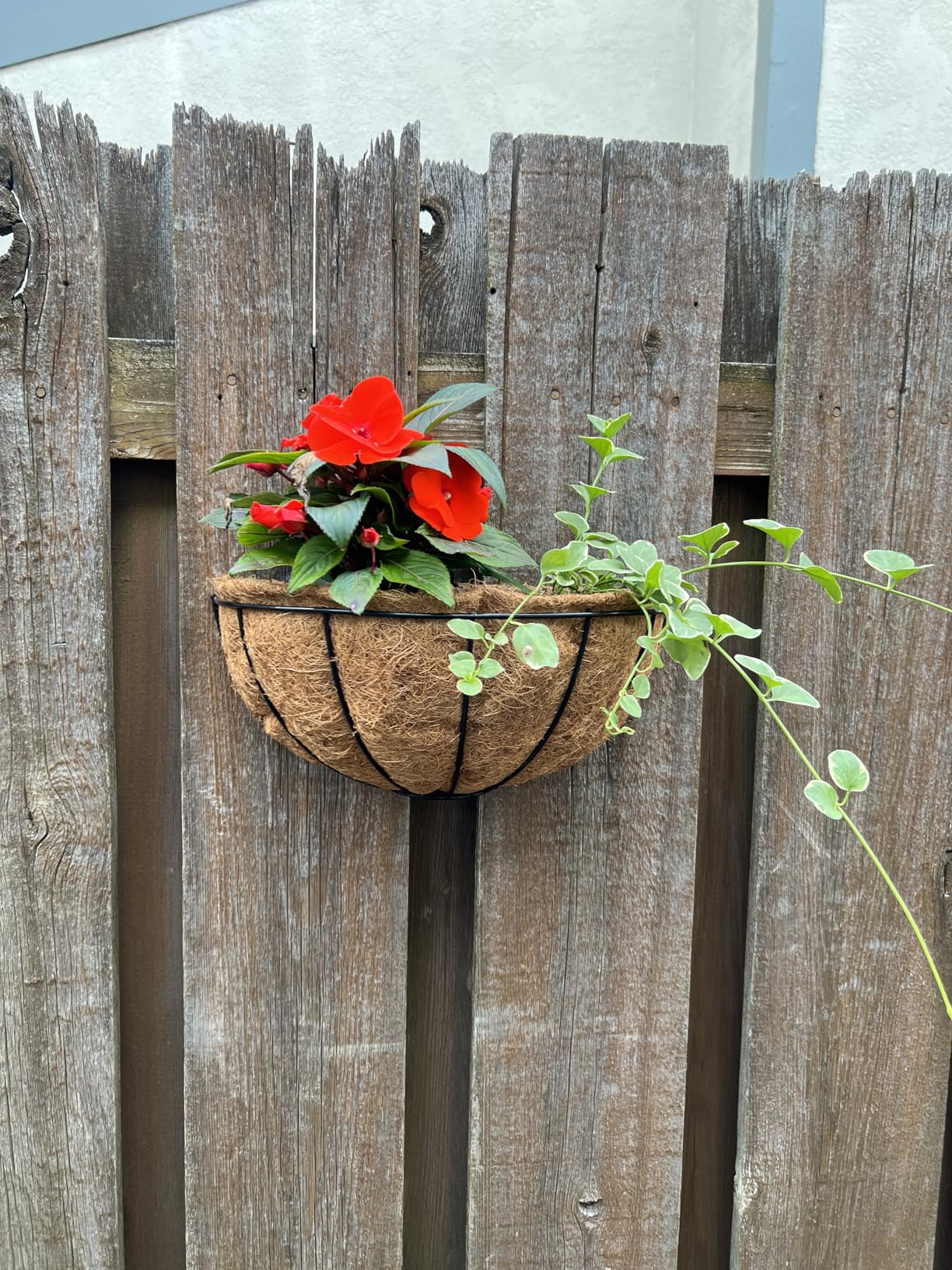 Wall Hanging Planters Wall Mounted Baskets with Coco Liner Flower Planters for Outdoor Hanging Flower Pots for Garden Porch Decoration